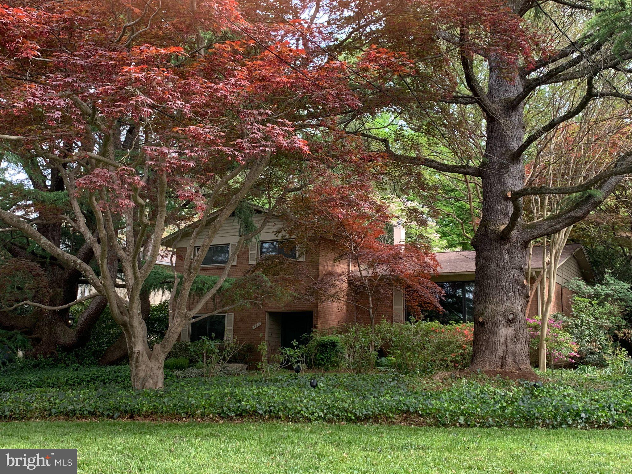 3510 FREDERICK PLACE