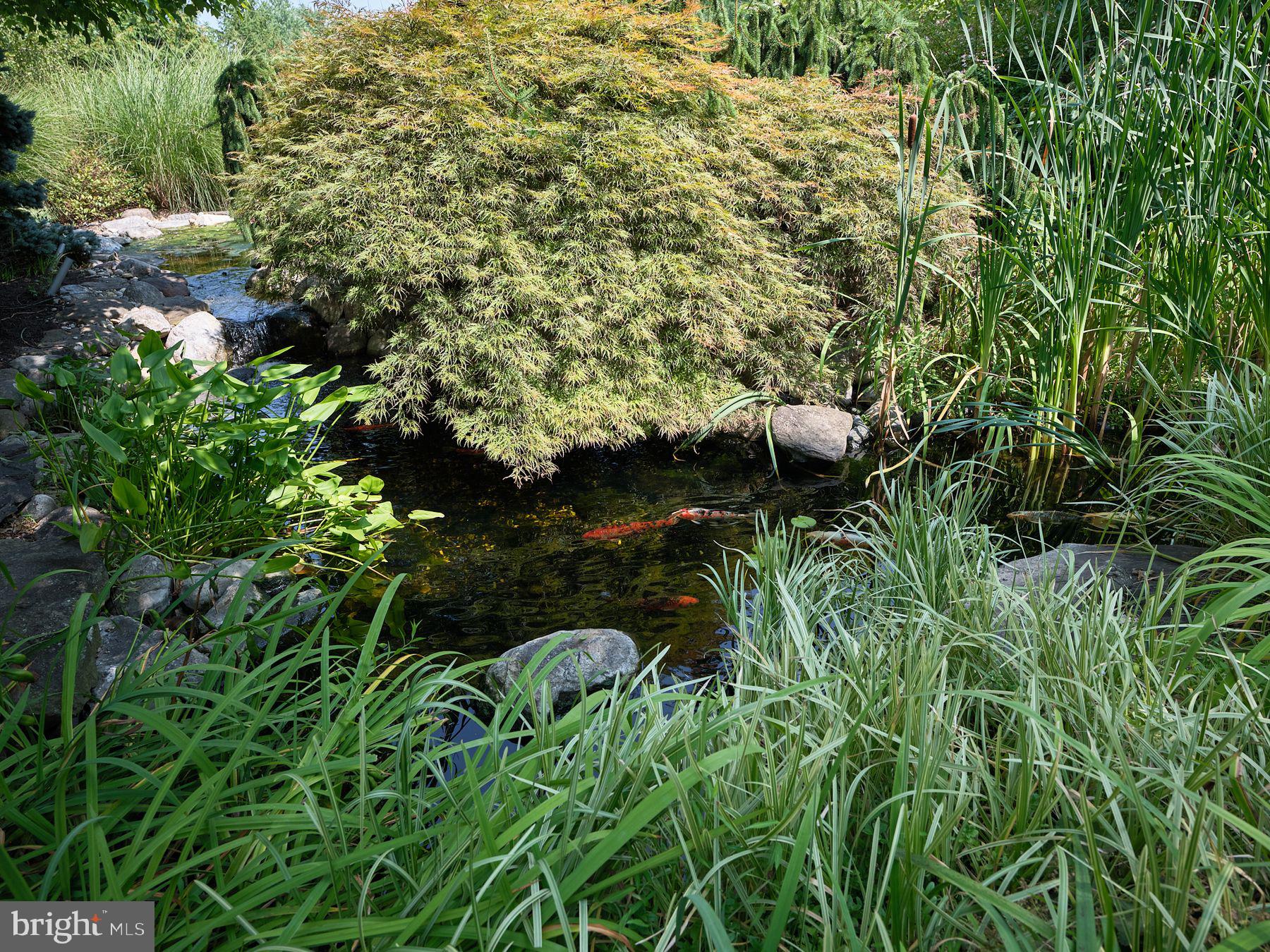 COUNTRY RIDGE - Residential