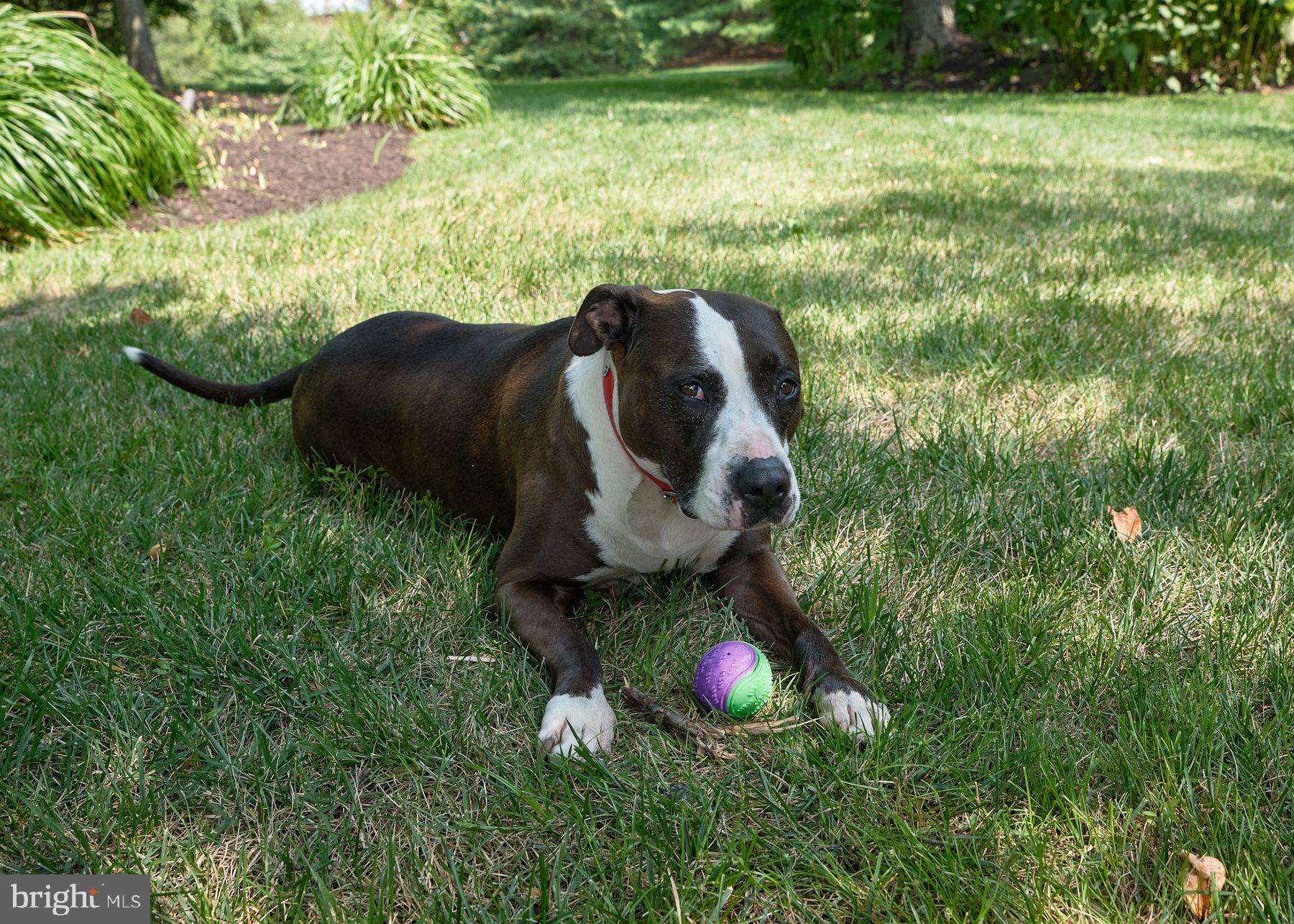 COUNTRY RIDGE - Residential