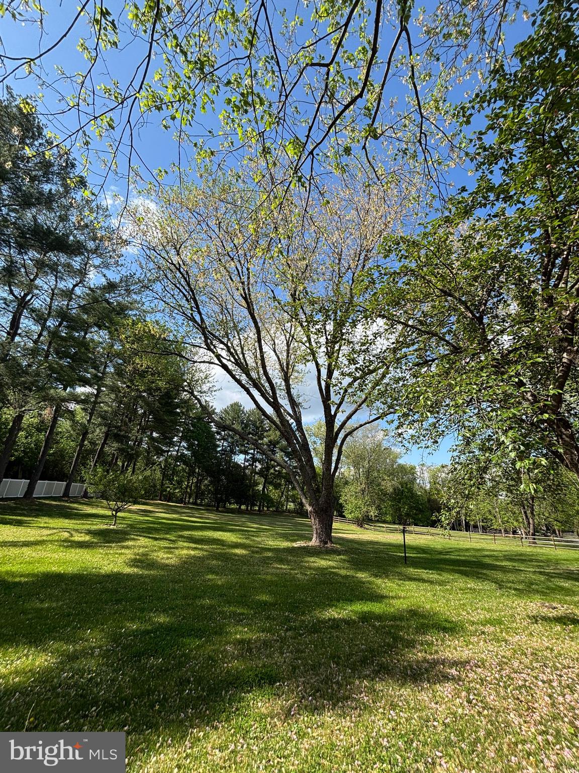 BEALLMOUNT - Residential