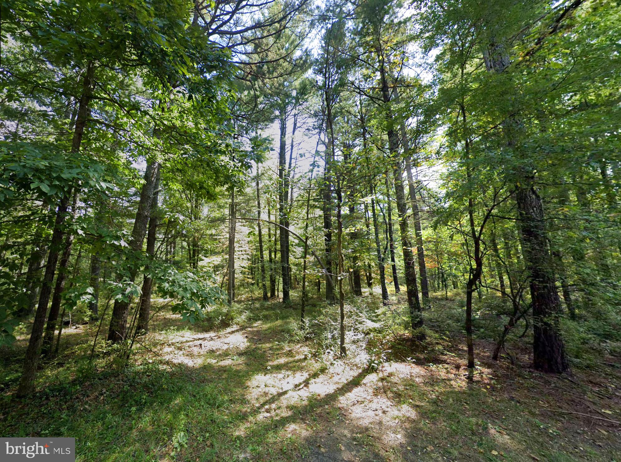 If you’re looking for a quaint, small-town vibe, this buildable 1-acre lot could be just what you need.
Situated in the charming town of Craigsville, VA, you have the option to construct an appealing new home,
modular or place a double-wide manufactured home on the property. Tucked away on a dead-end street
(clearing needed), you’ll enjoy ample privacy while being within walking distance of both the local park and
school! This property also has potential for an excellent investment opportunity! Electricity is available
nearby – City water and sewer are available on Hancock St., but would need to be ran to the property or
well and septic installed (buyer to confirm). Also, owner financing is available – live, build, or utilize the
property while making manageable monthly payments!! Staunton and Waynesboro is within 40 minutes.