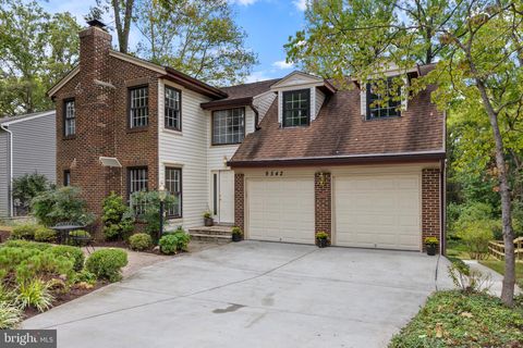 9542 ANGELINA CIRCLE COLUMBIA MD 21045