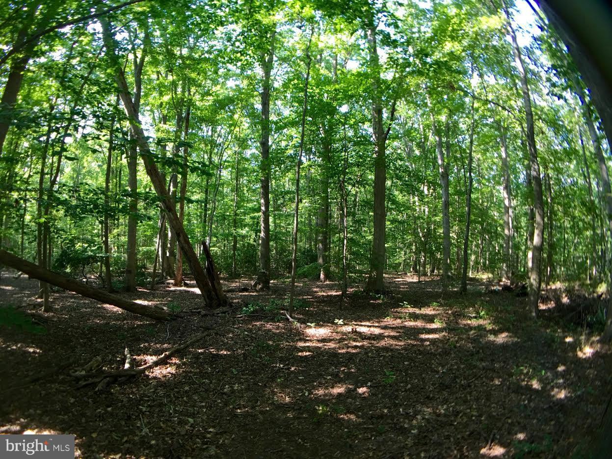 HILLCREST MANOR - Land