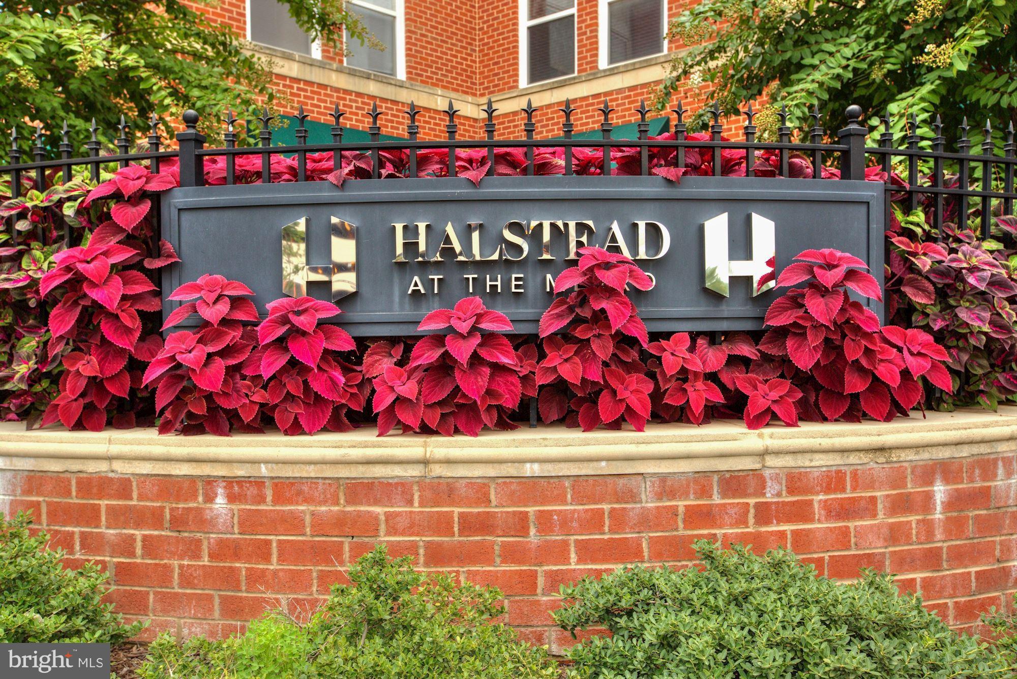 HALSTEAD AT THE METRO - Residential