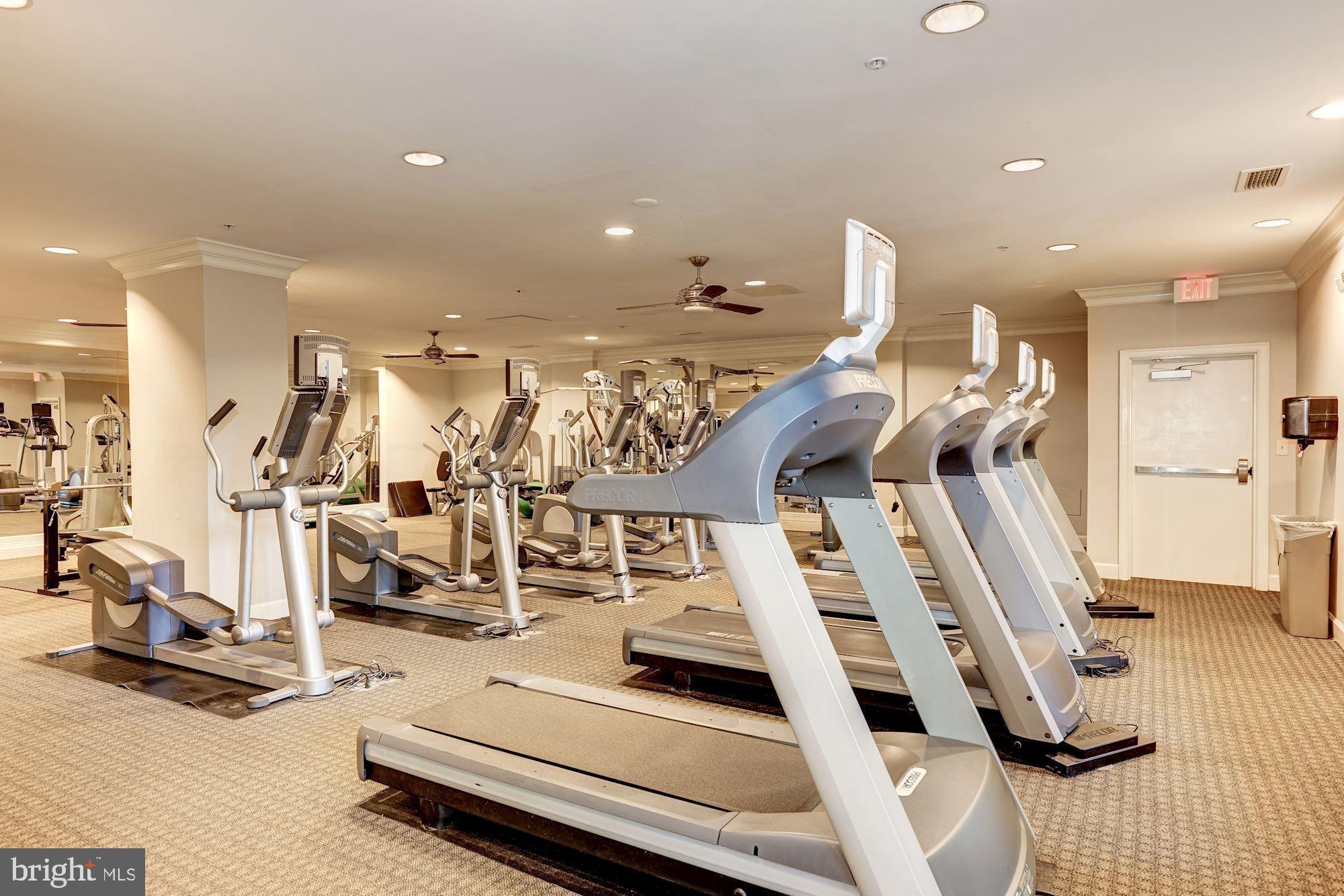 HALSTEAD AT THE METRO - Residential