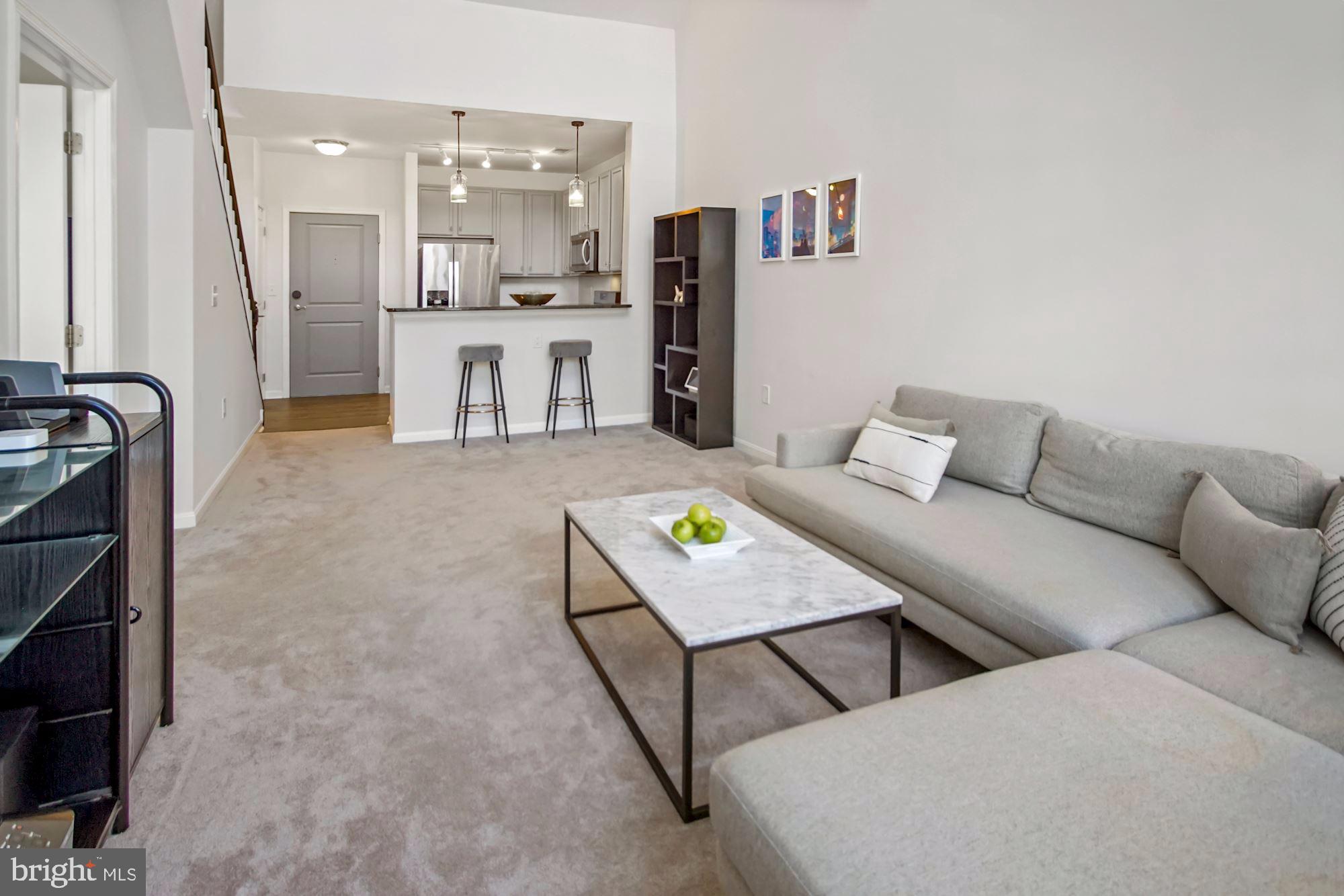 HALSTEAD AT THE METRO - Residential