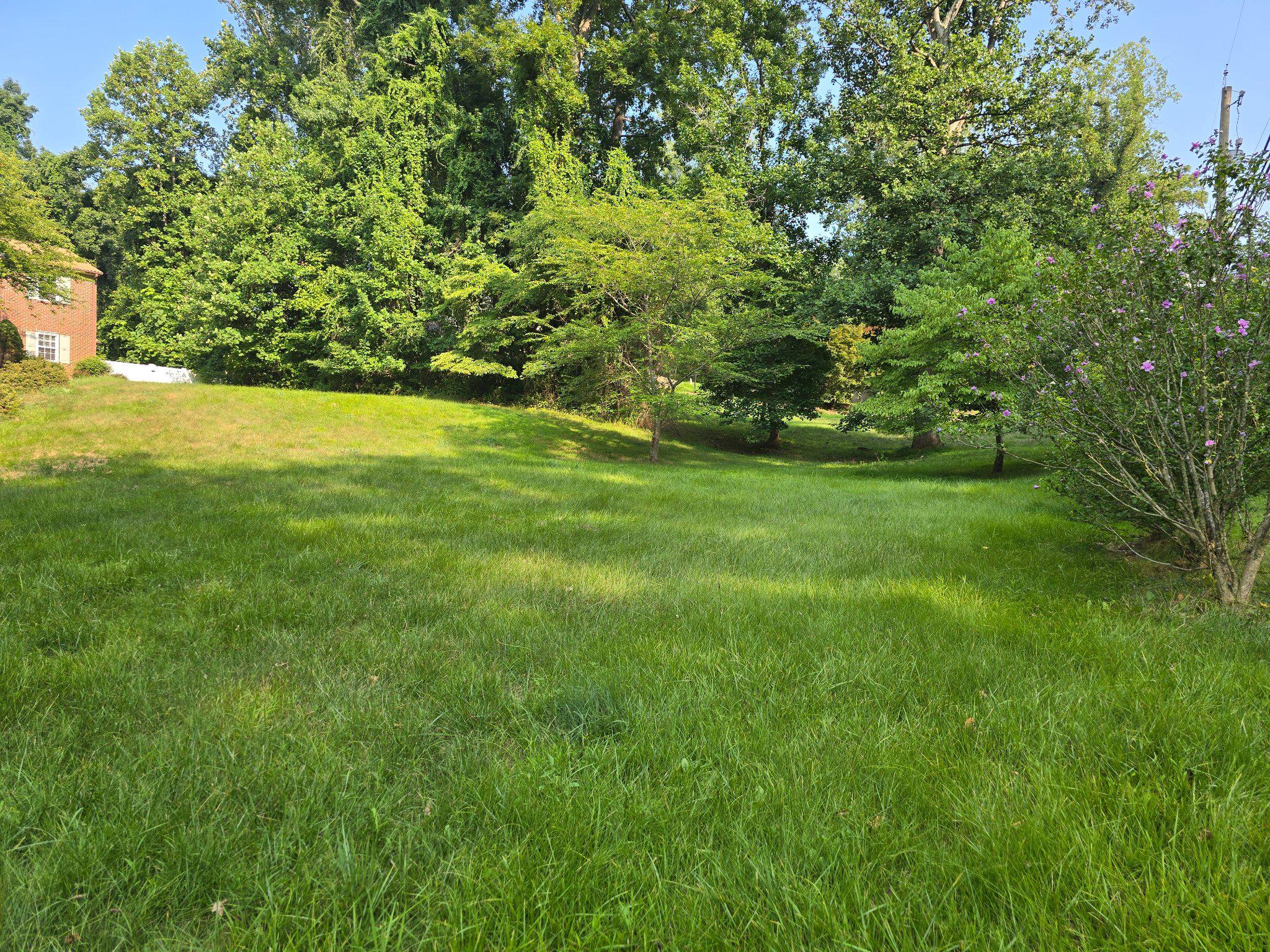 3020 DANVILLE ROAD