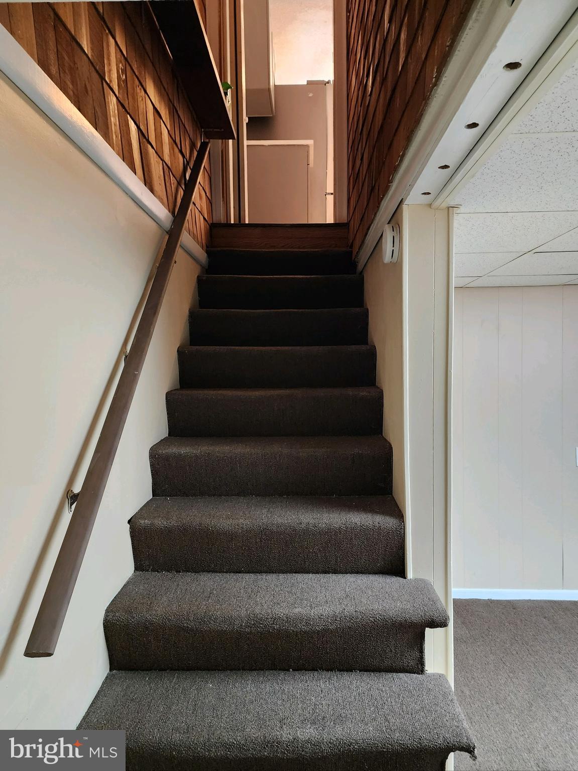 VIOLETVILLE - Residential