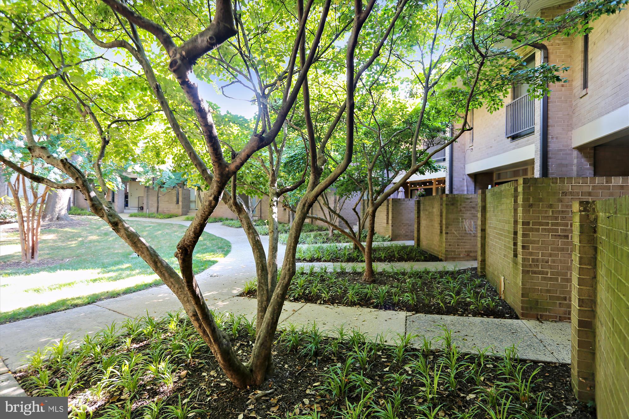 AMERICANA CENTRE - Residential