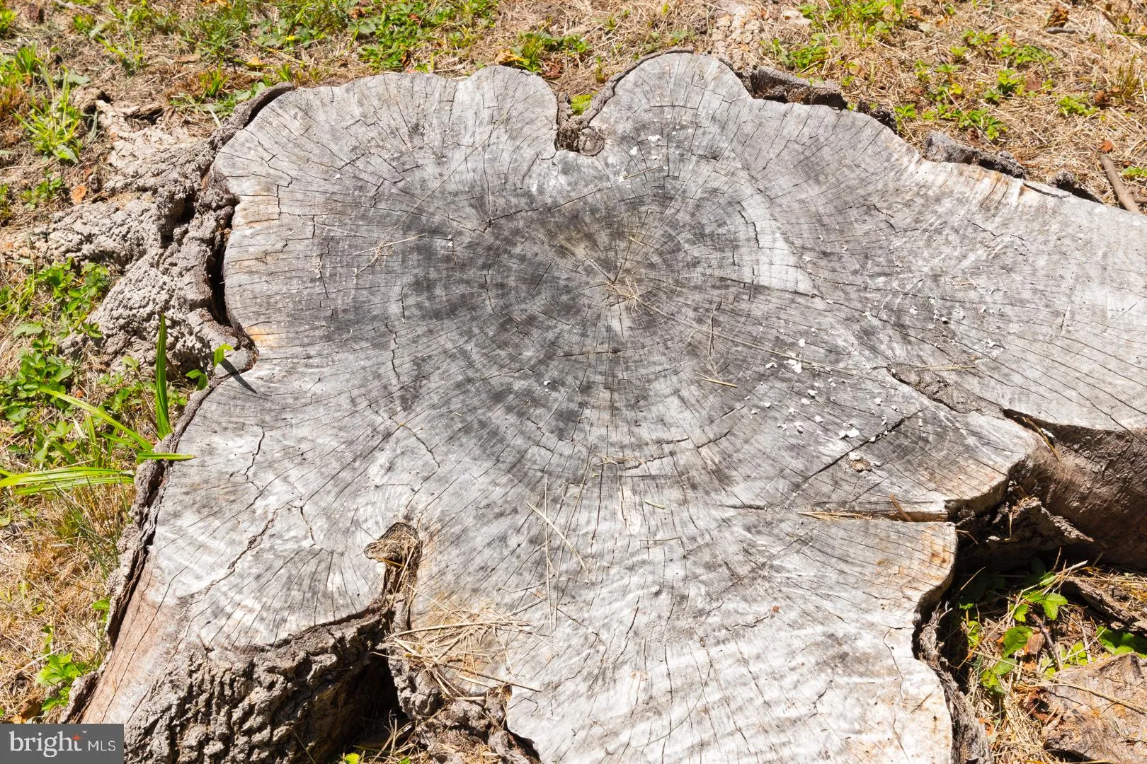 Hopewell, New Jersey 08525, United States, 2 Bedrooms Bedrooms, ,1 BathroomBathrooms,Residential,Pending,48508