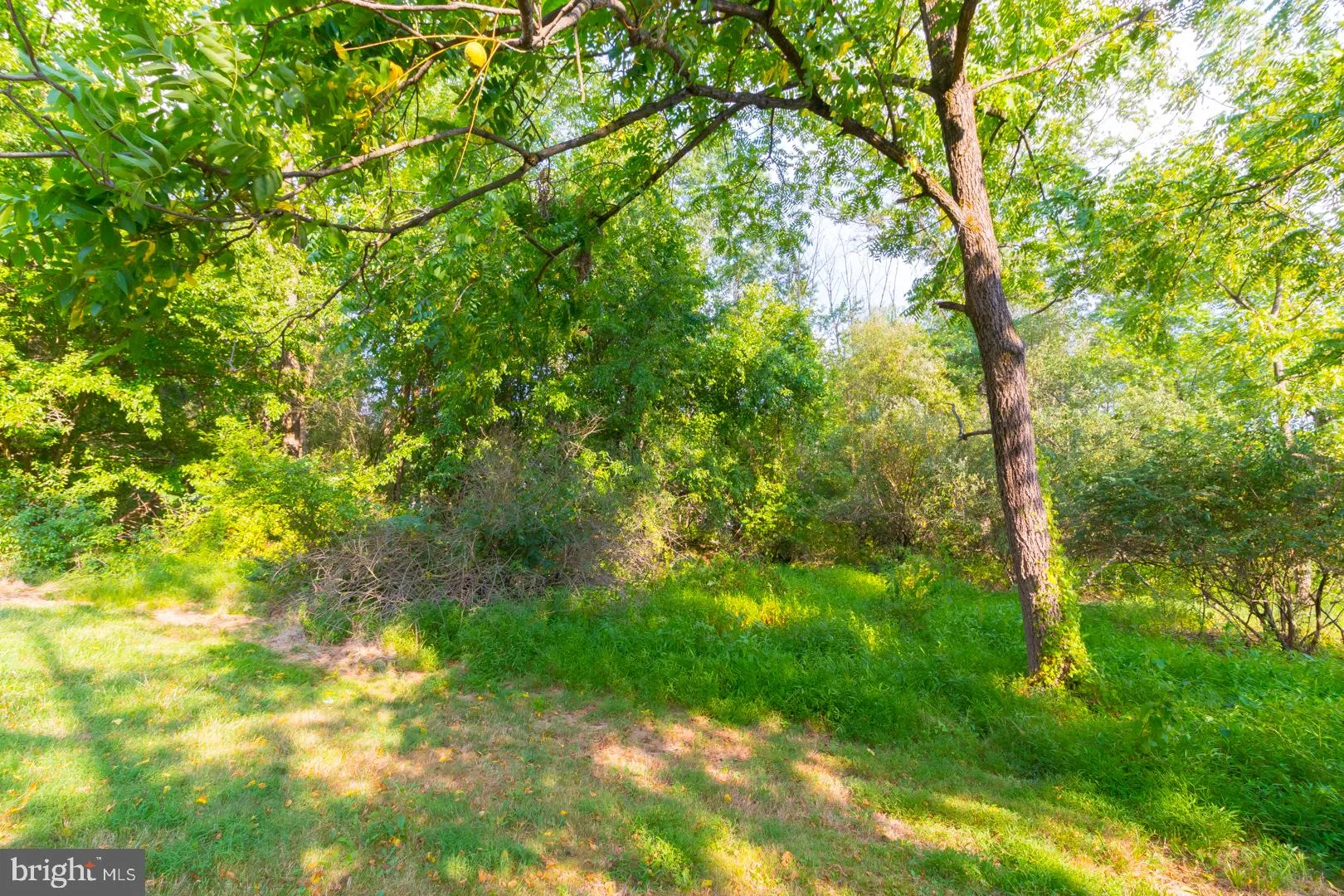 Hopewell, New Jersey 08525, United States, 2 Bedrooms Bedrooms, ,1 BathroomBathrooms,Residential,Pending,48508