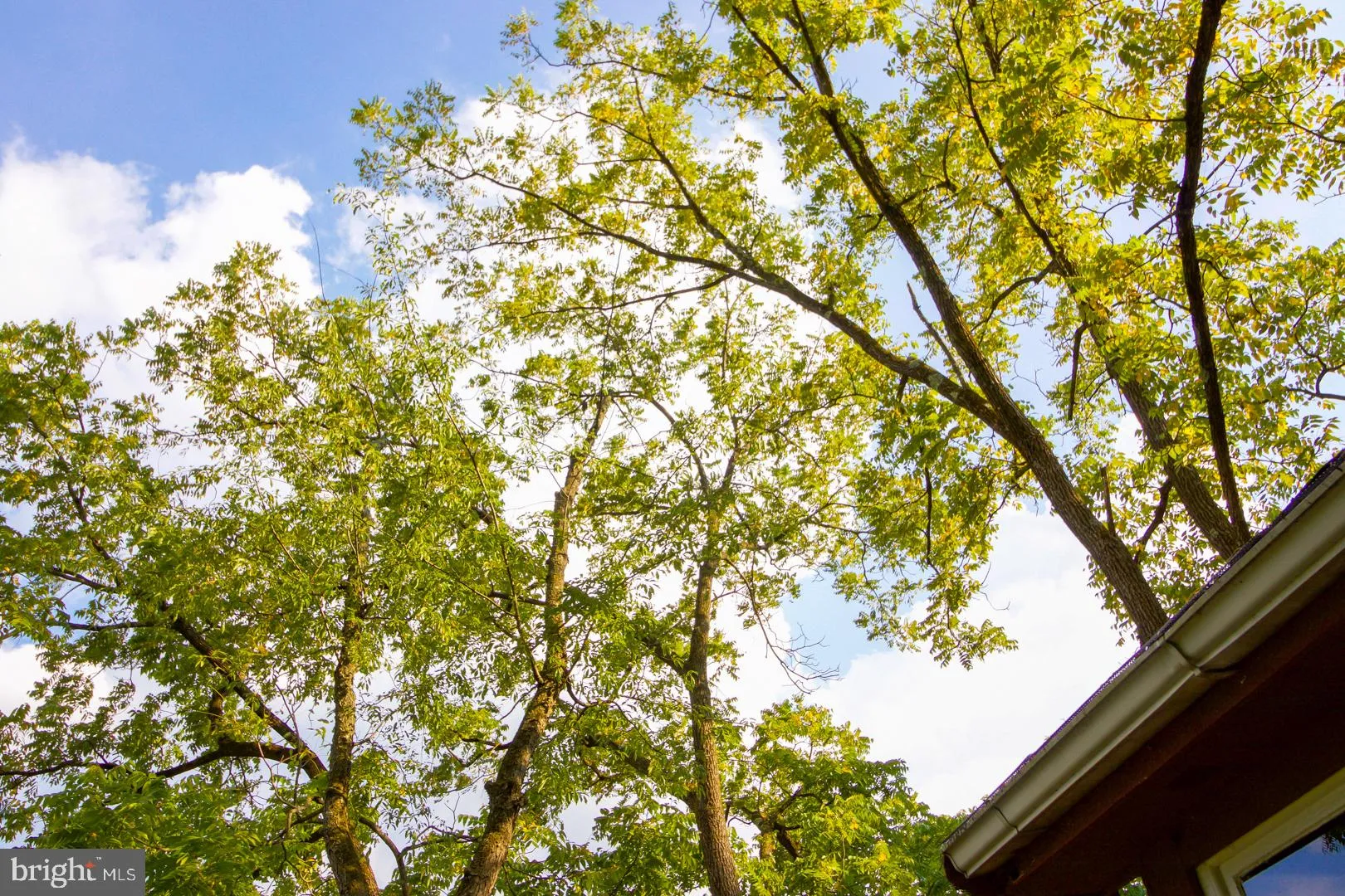 Hopewell, New Jersey 08525, United States, 2 Bedrooms Bedrooms, ,1 BathroomBathrooms,Residential,Pending,48508