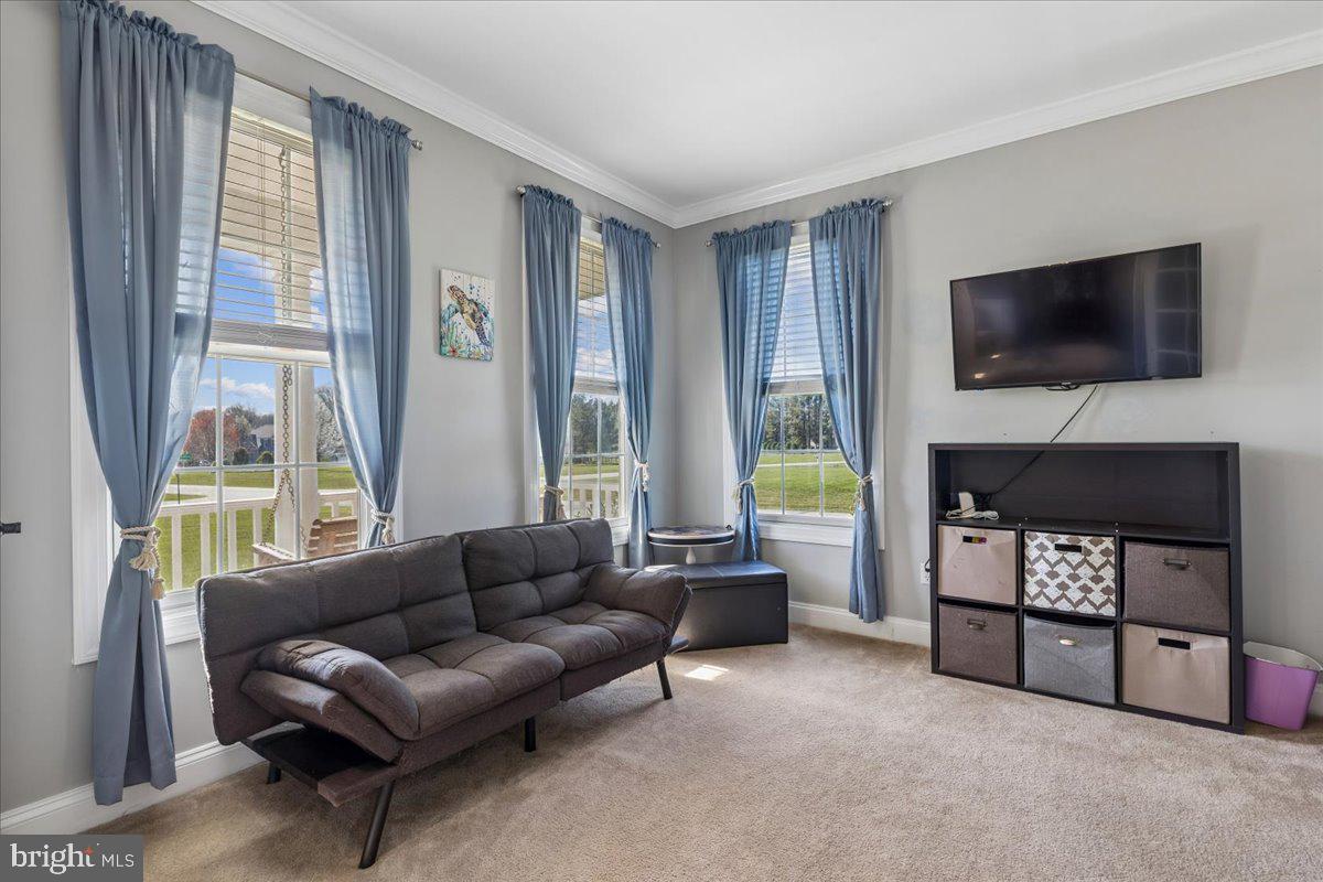 PRESERVE AT WYE MILLS - Residential