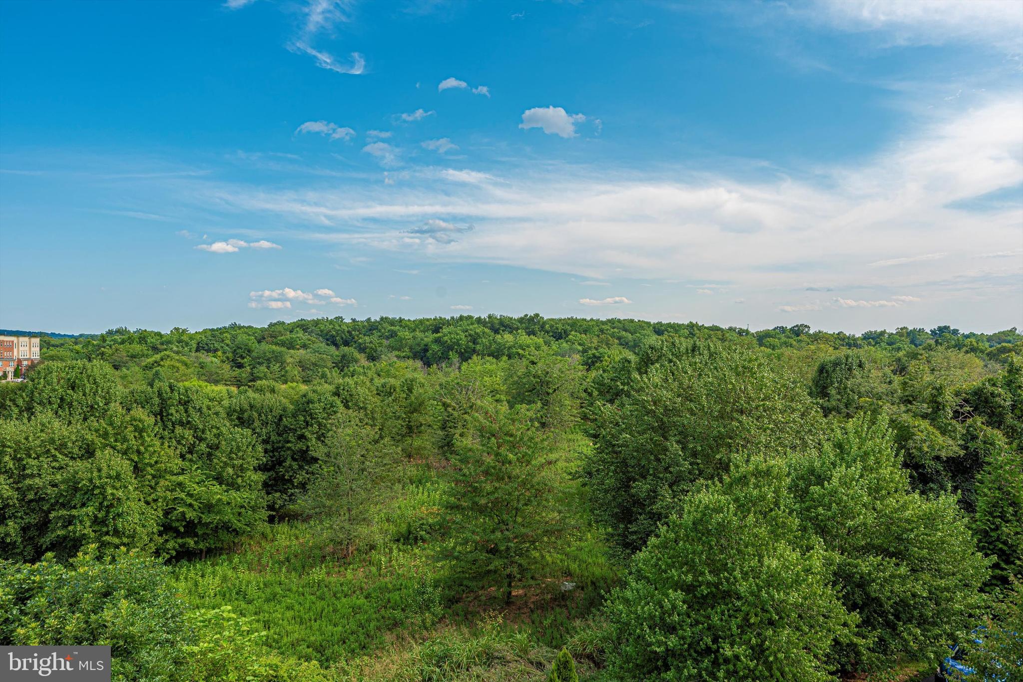 MONOCACY PARK SOUTH - Residential