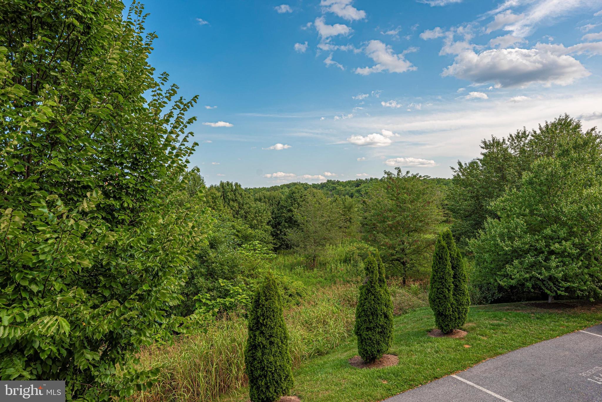 MONOCACY PARK SOUTH - Residential
