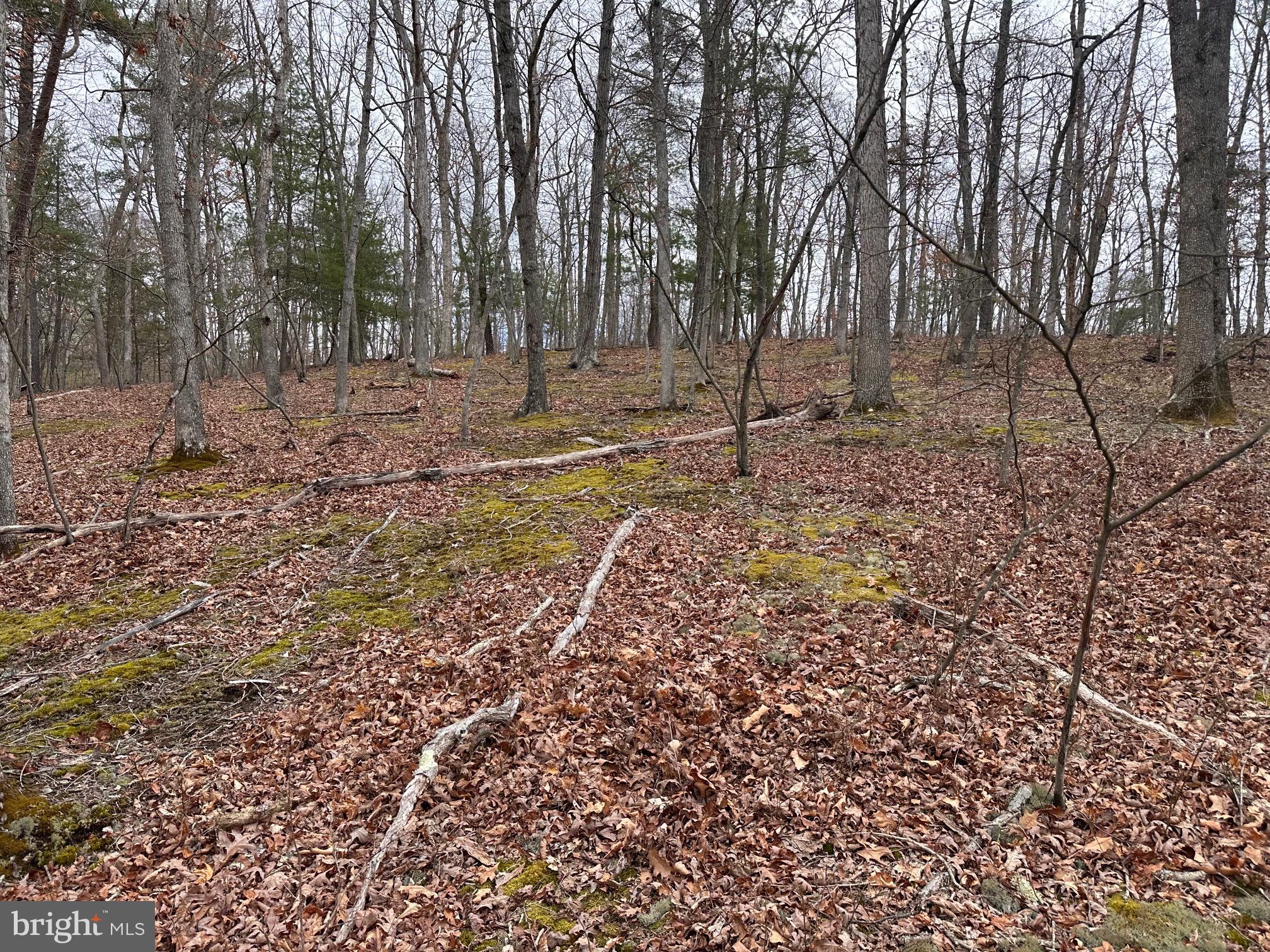 SLEEPY CREEK MOUNTAIN RETREAT - Land