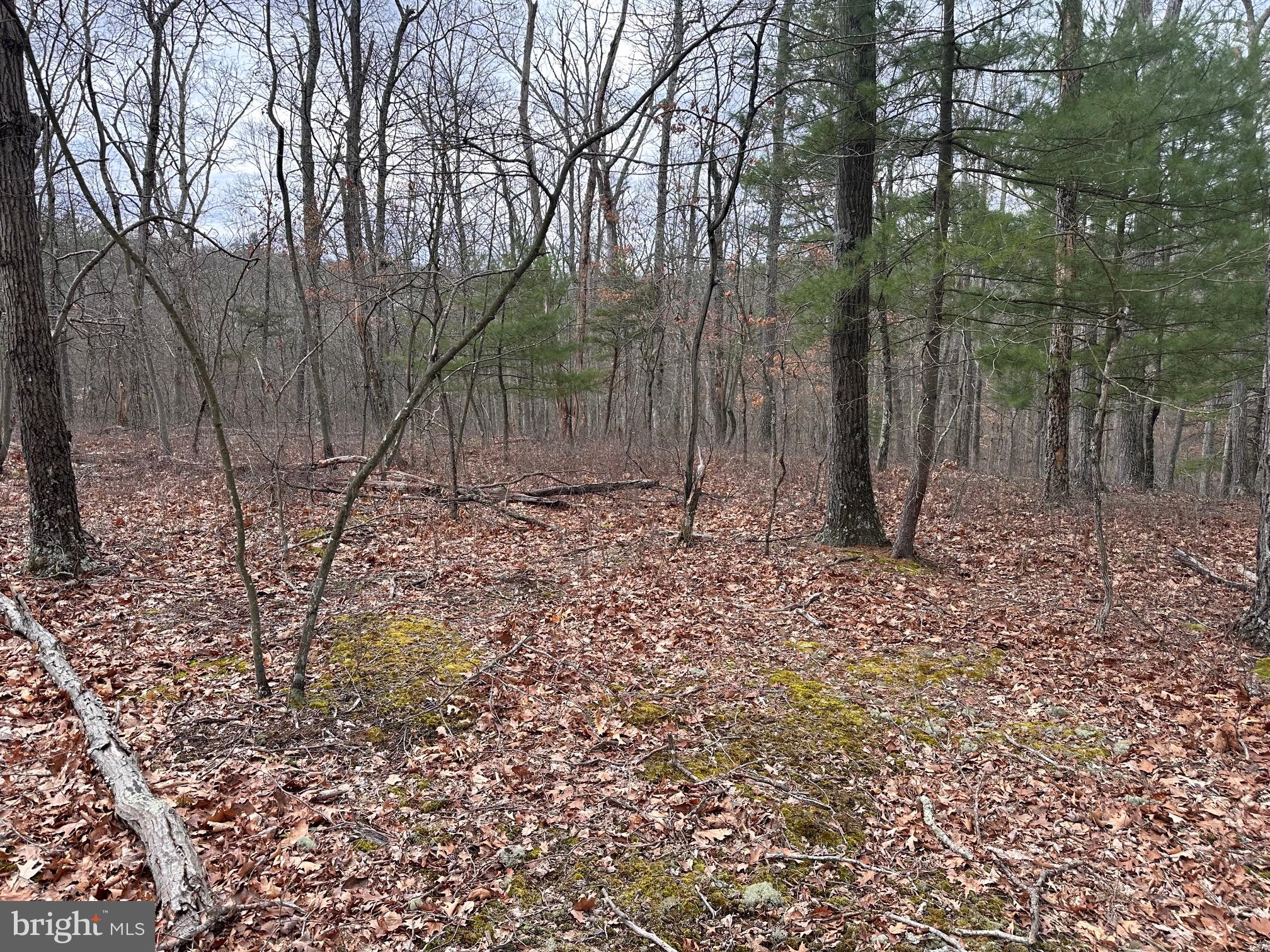 SLEEPY CREEK MOUNTAIN RETREAT - Land