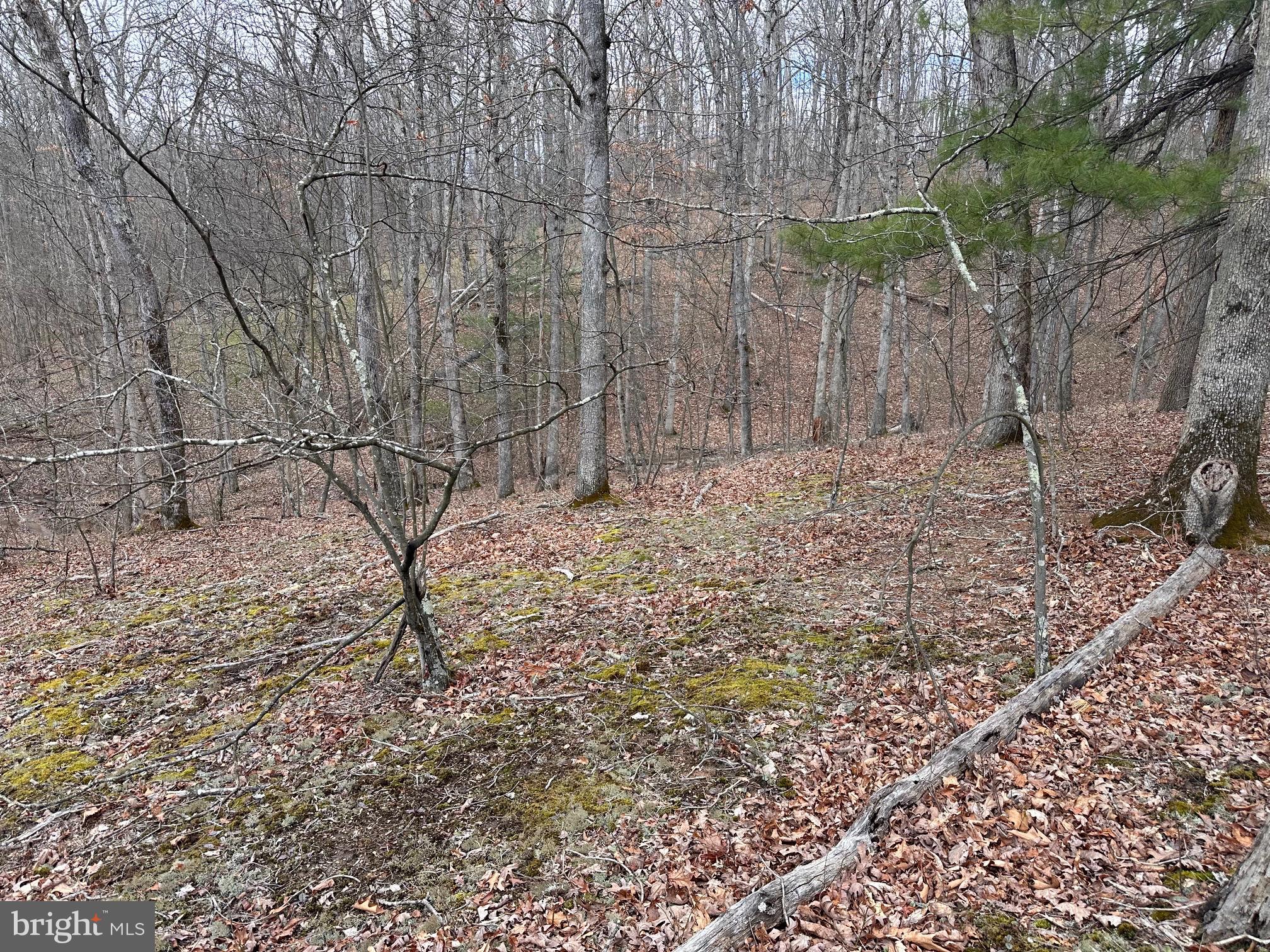 SLEEPY CREEK MOUNTAIN RETREAT - Land