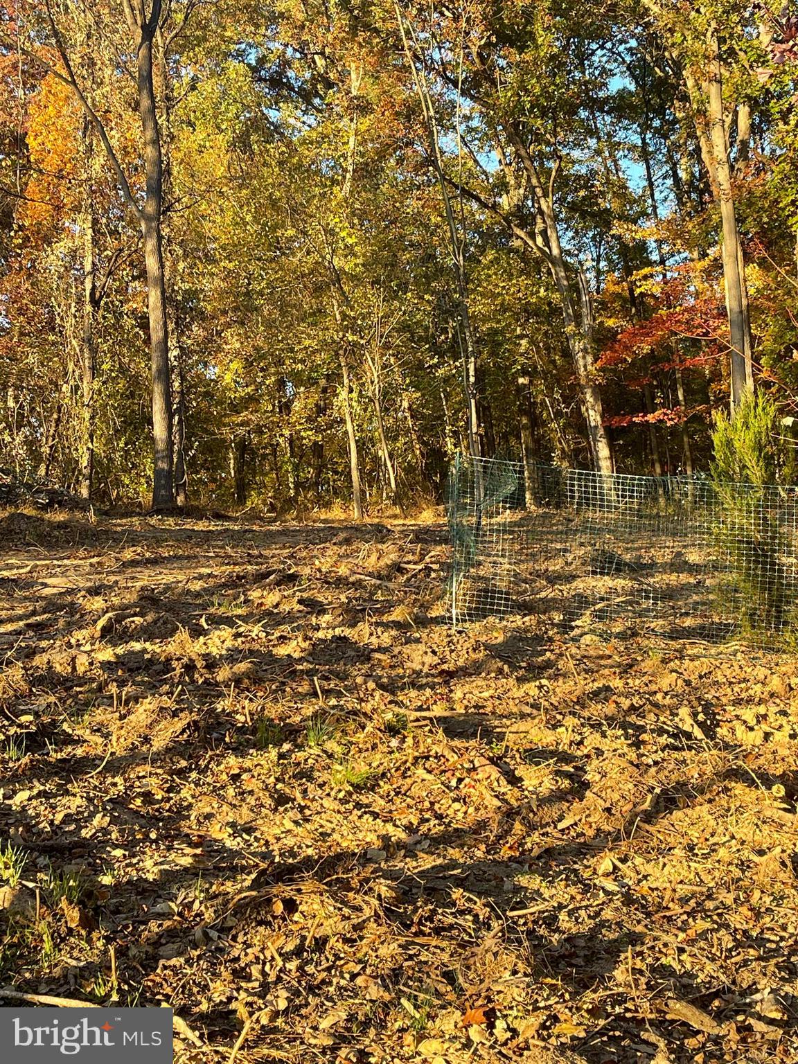 Land has small creek that passes through the property and there is a bridge to cross into the rest of the land. Please watch your step walking on the wood planks. There is also a trail that will lead you to the grey shed that is on the land.