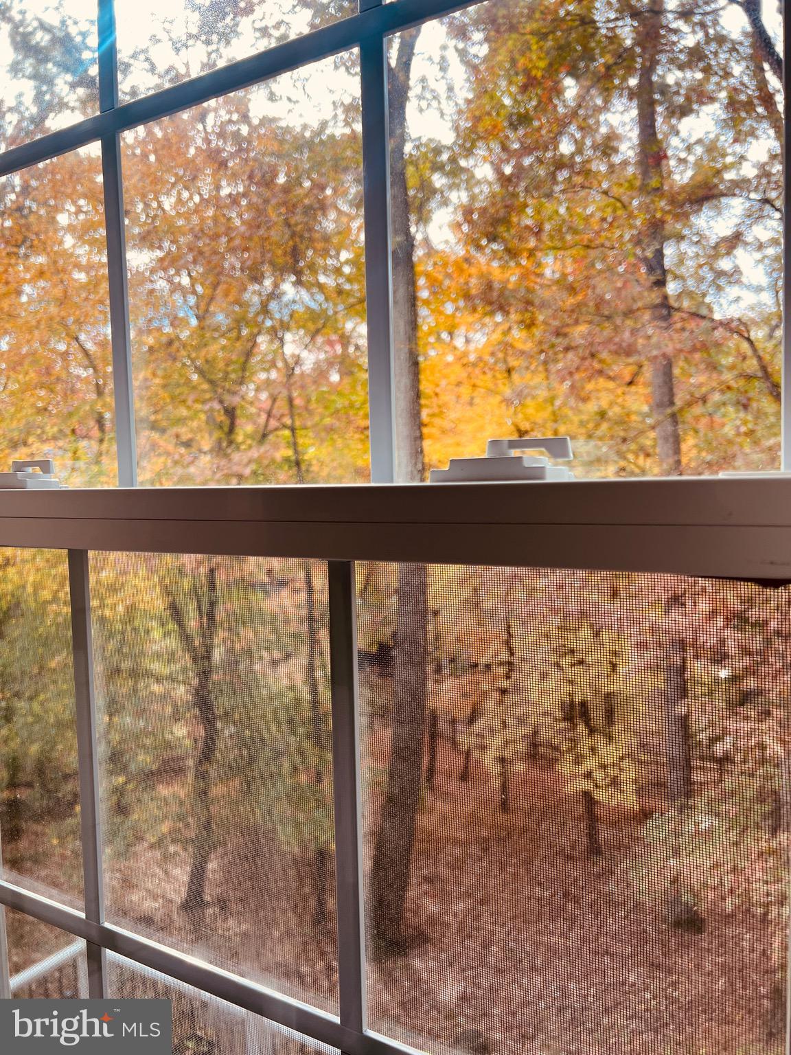 WOLF TRAP WOODS - Residential Lease