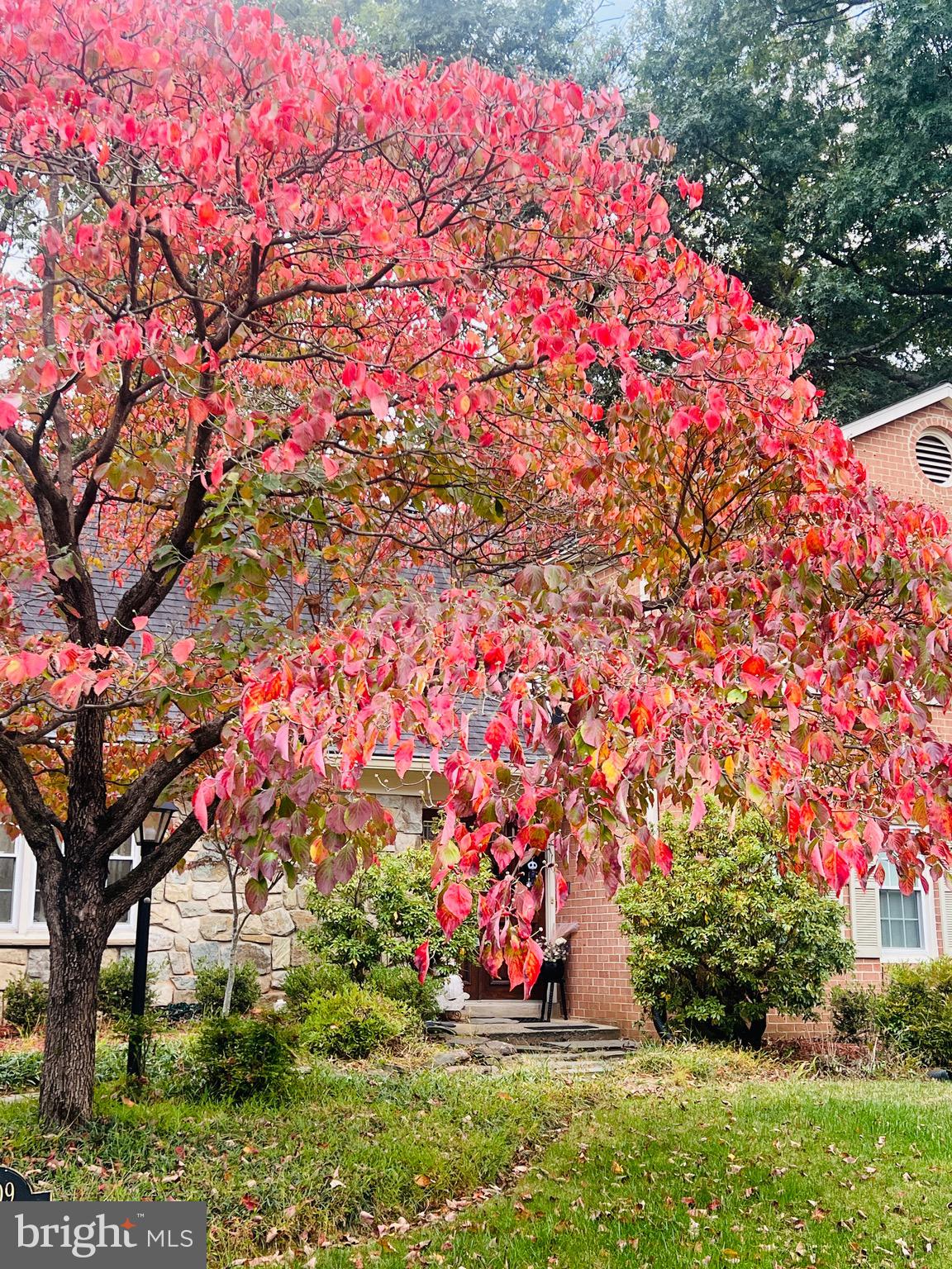 WOLF TRAP WOODS - Residential Lease