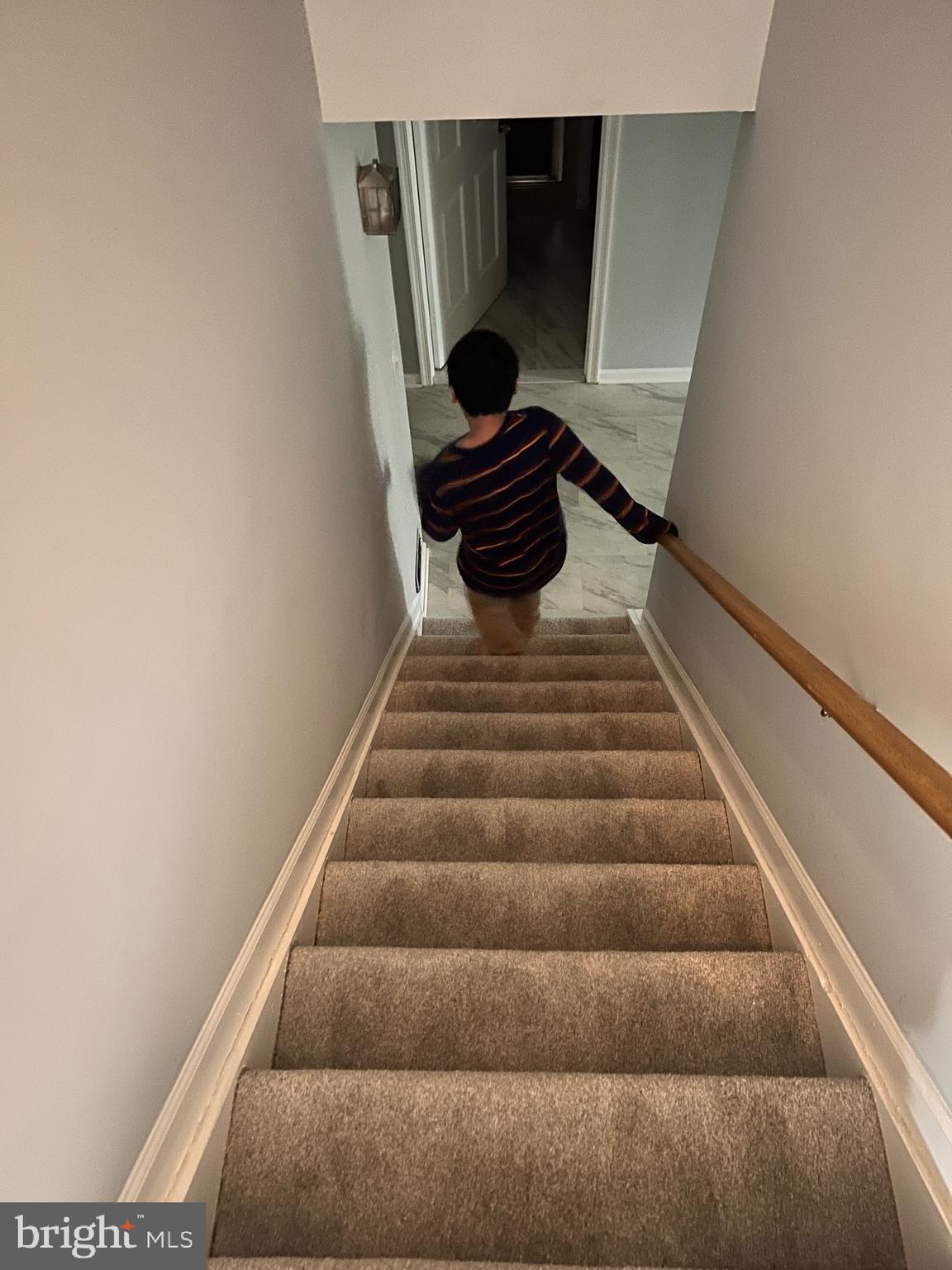 WOLF TRAP WOODS - Residential Lease