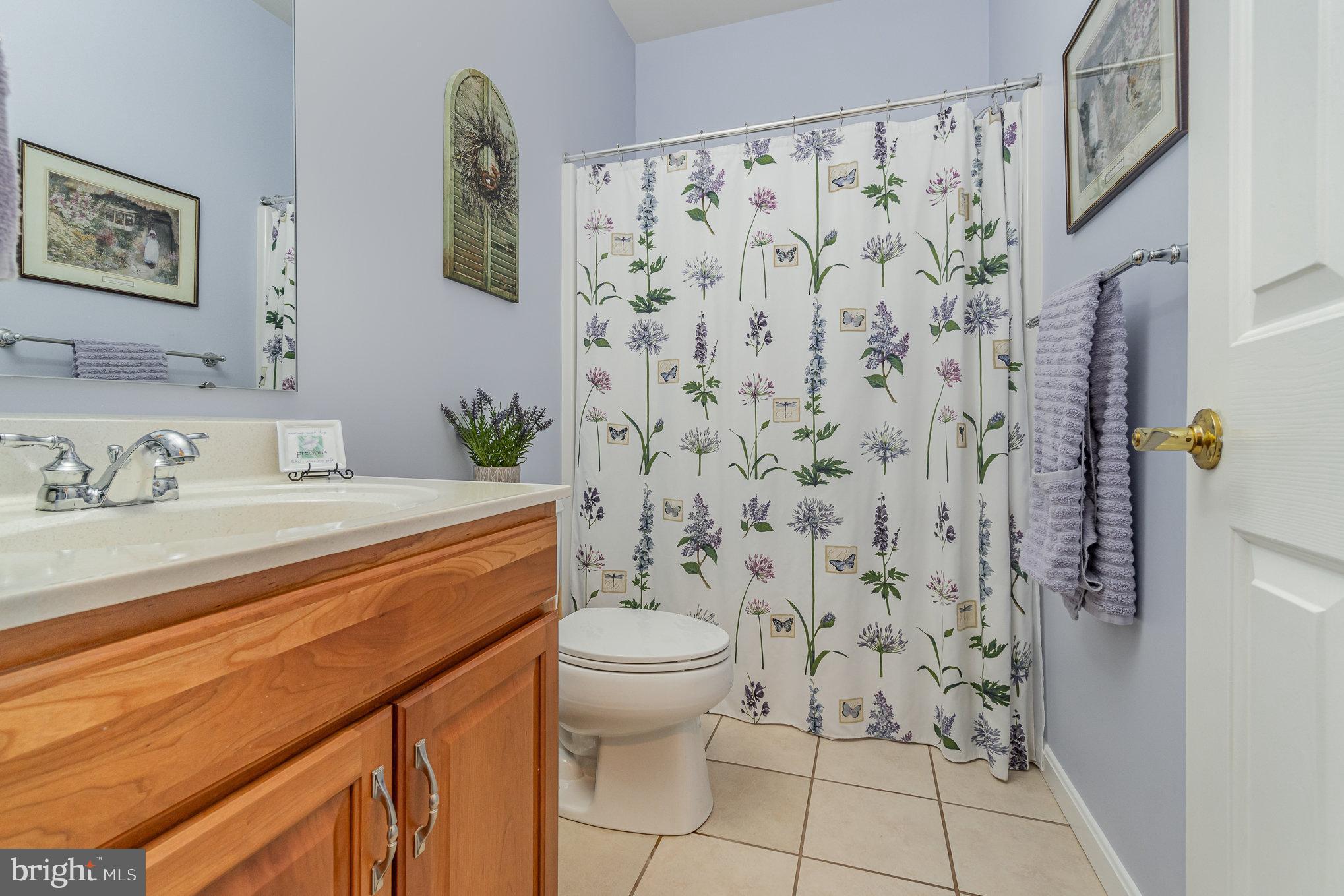 VILLAGE AT SPRINGBROOK FARMS - Residential