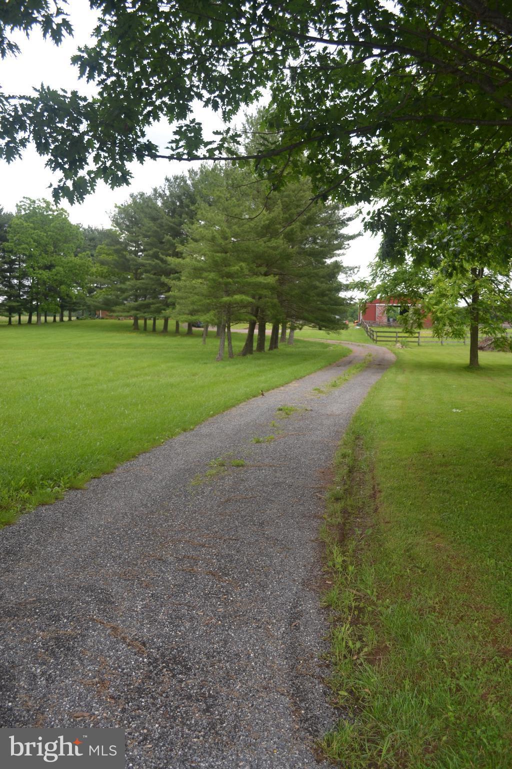 NONE AVAILABLE - Farm