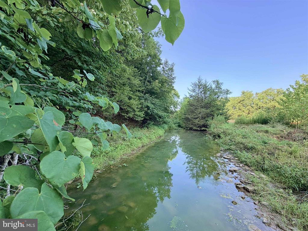 144 NAKED CREEK HOLLOW ROAD