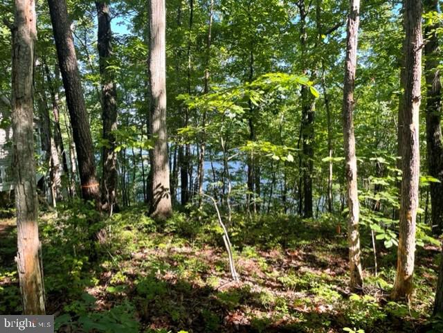 LAKE WILDERNESS - Land