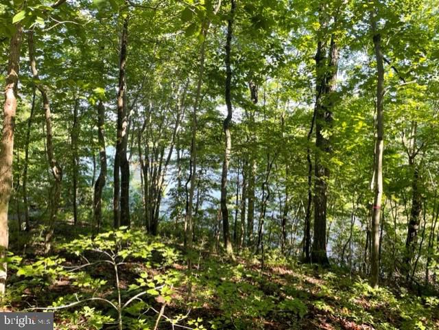 LAKE WILDERNESS - Land