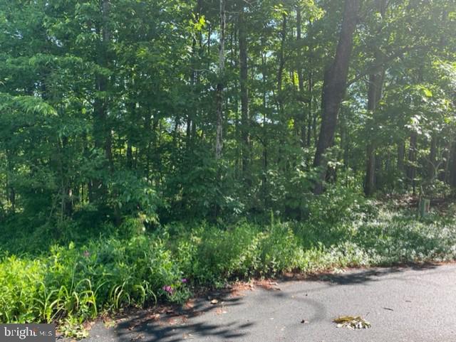 LAKE WILDERNESS - Land