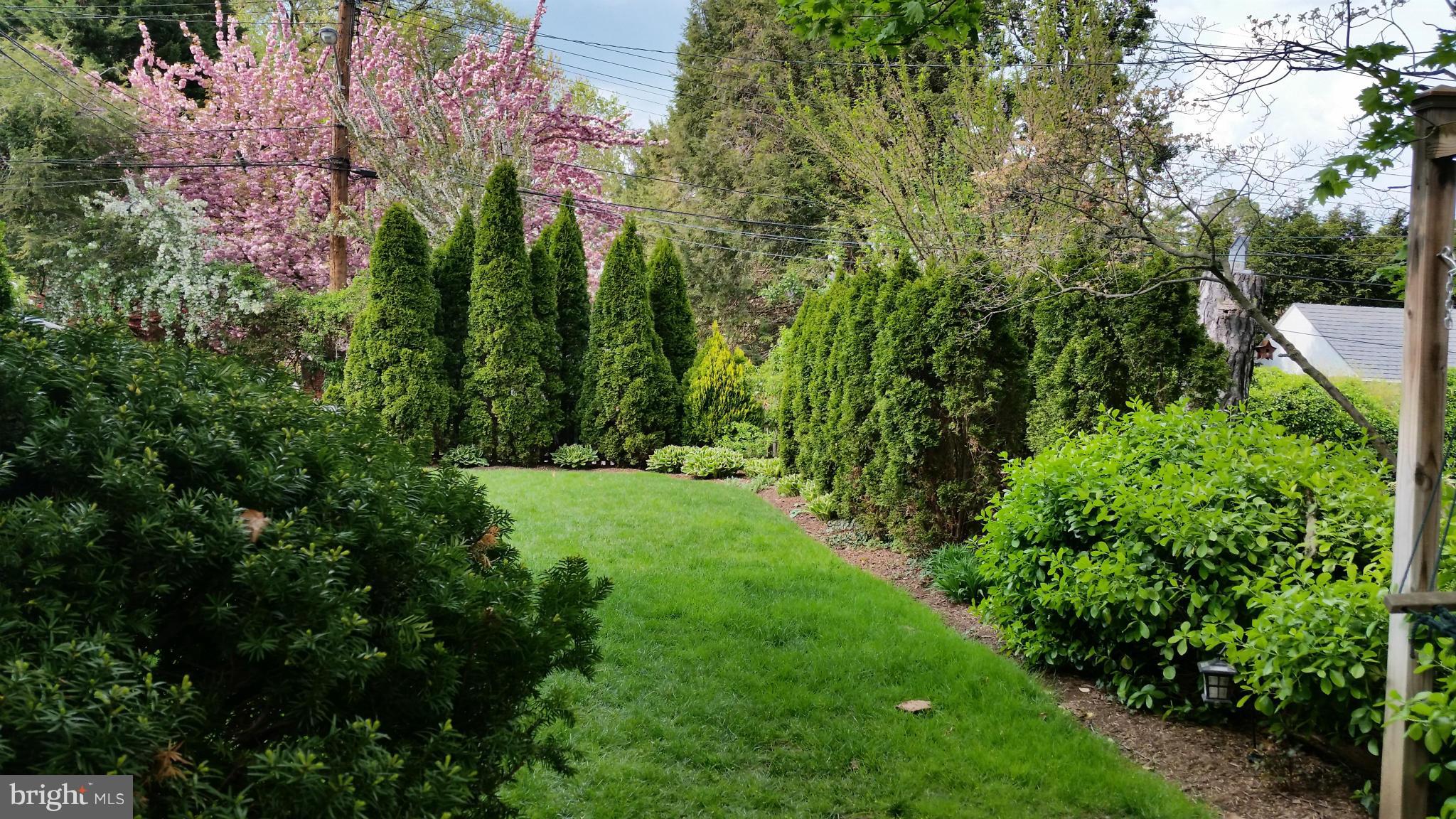 GREATER HOMELAND HISTORIC DISTRICT - Residential