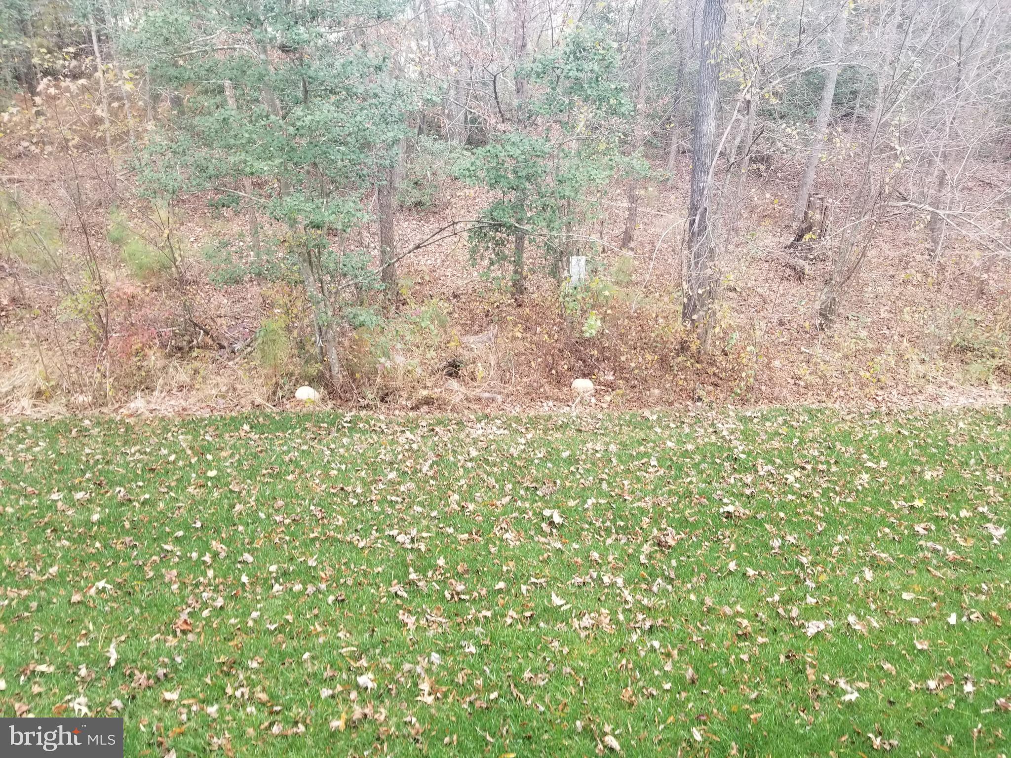 CLARK'S REST - Residential