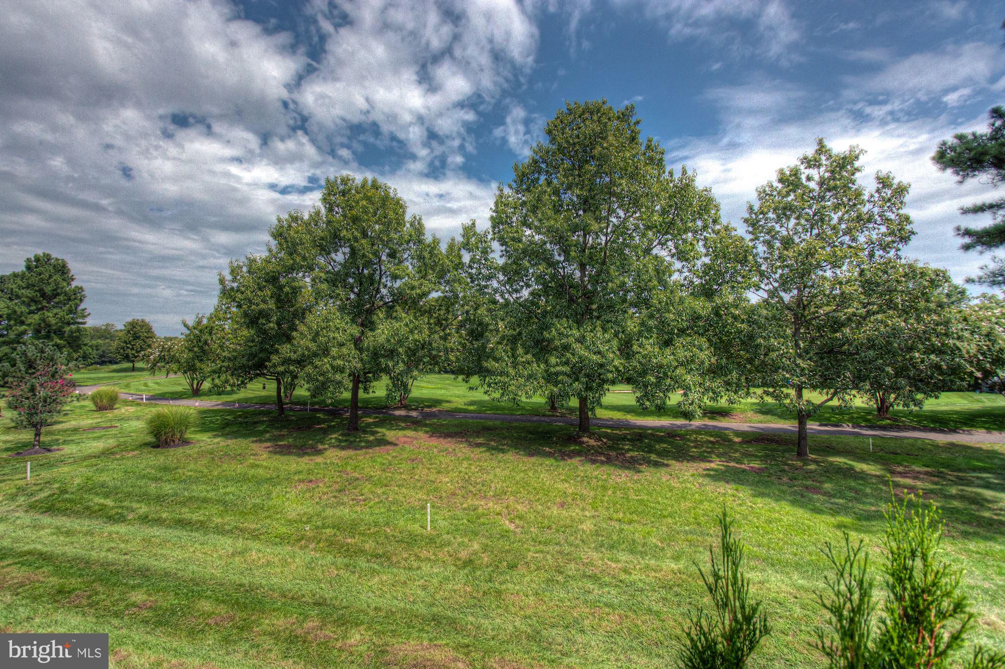 DOMINION VALLEY COUNTRY CLUB - Residential