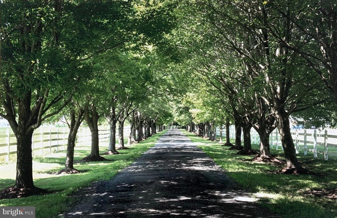 BRETON BEACH - Residential