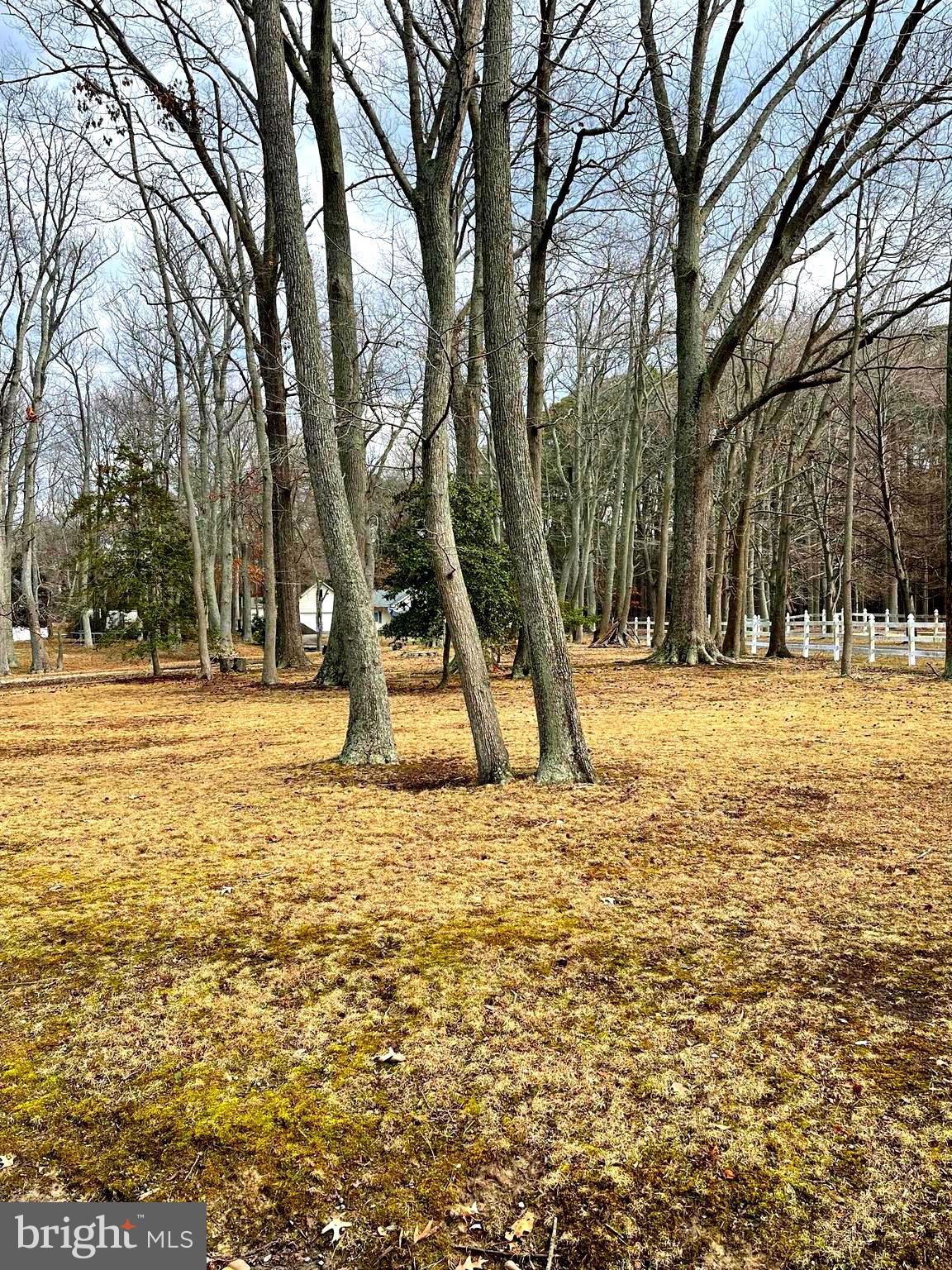 BRETON BEACH - Residential
