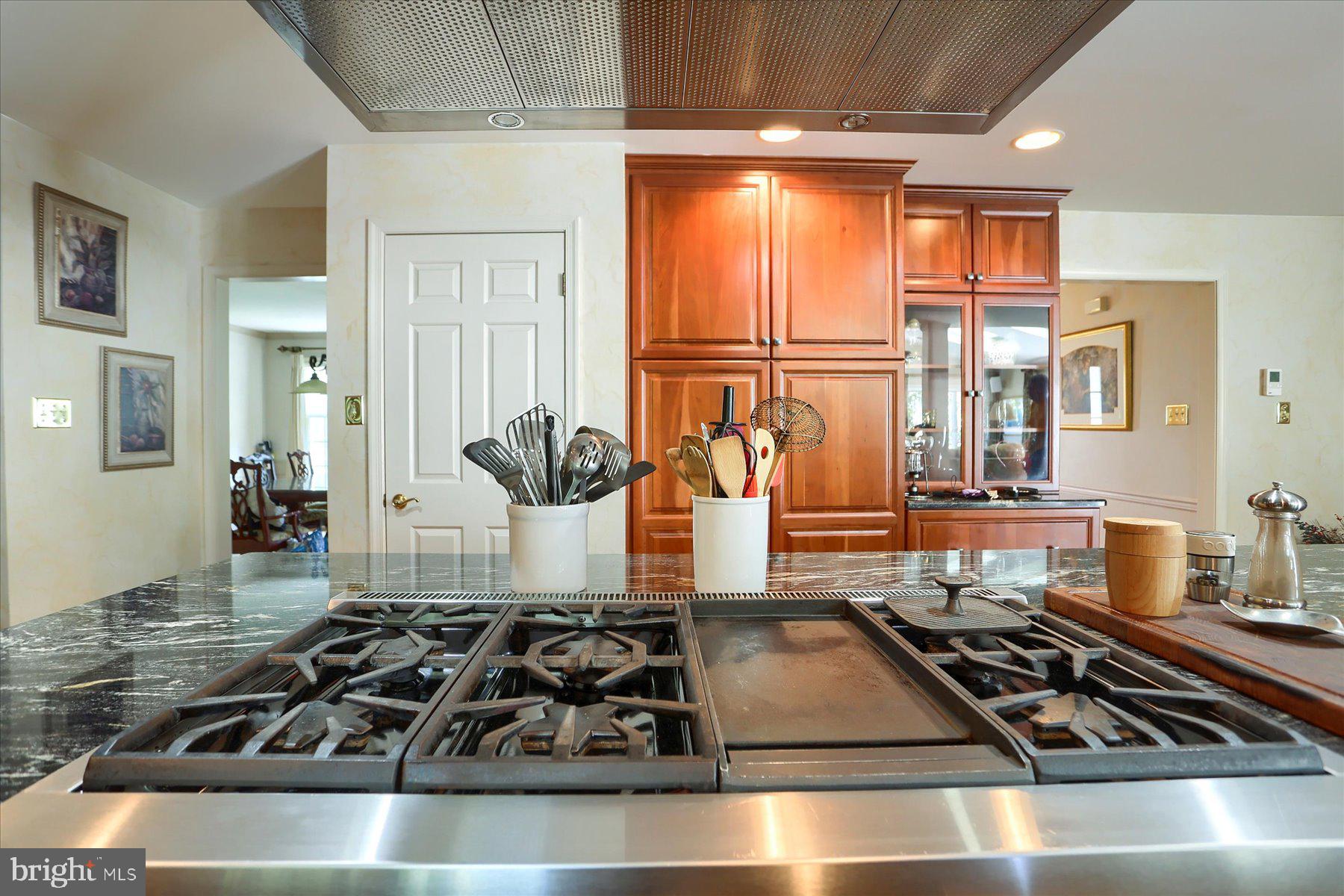 GREEN LANE MANOR - Residential