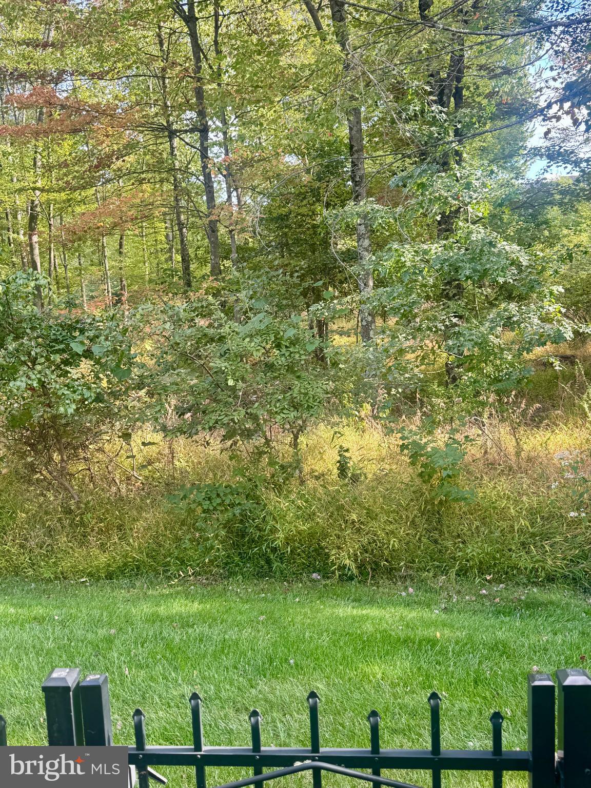 DELANCEY COURT - Residential