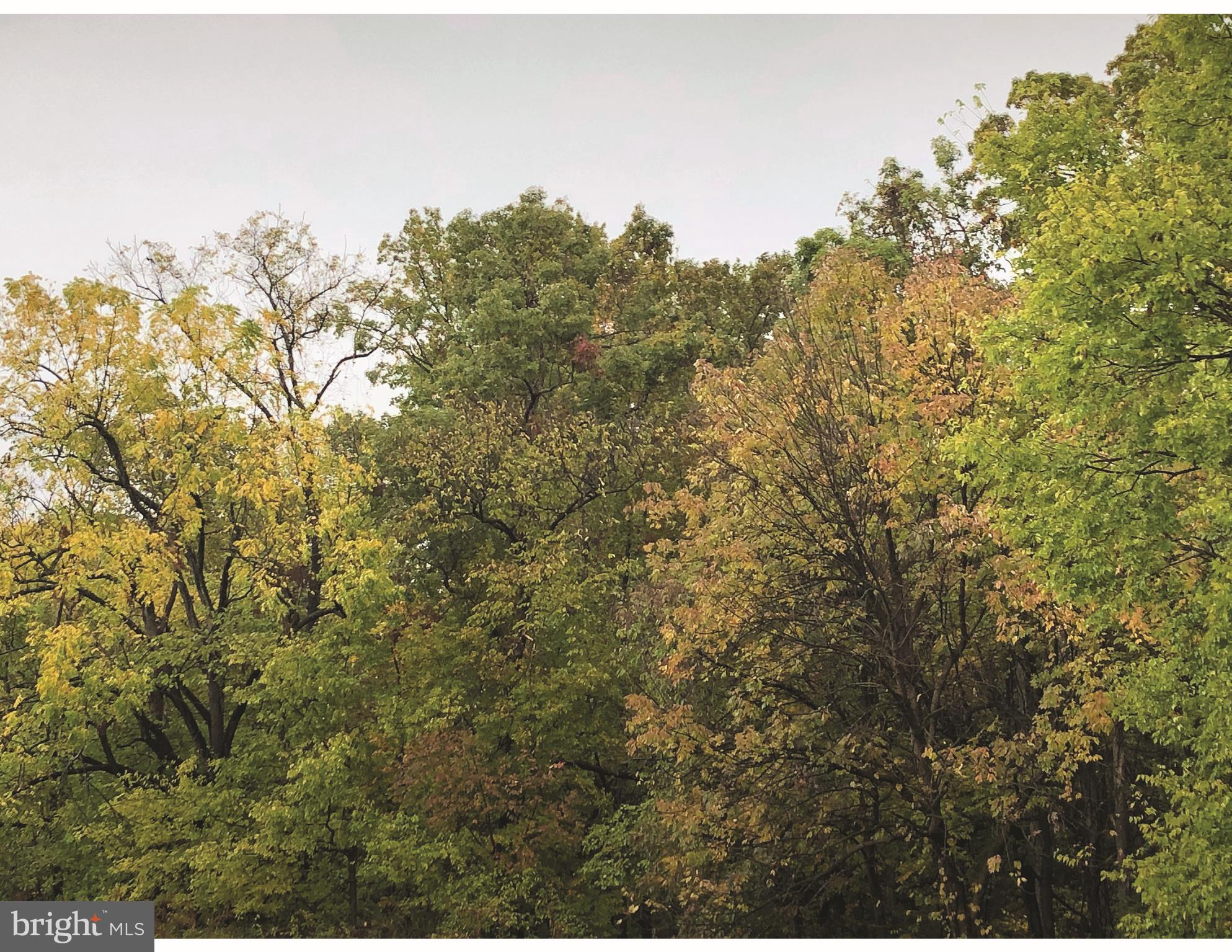 HERITAGE HUNT - Residential