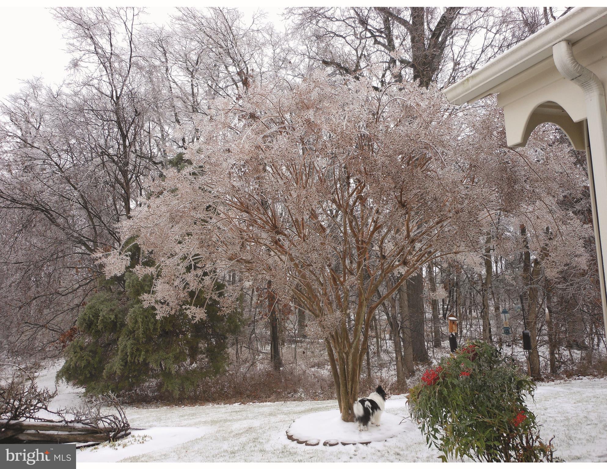 HERITAGE HUNT - Residential