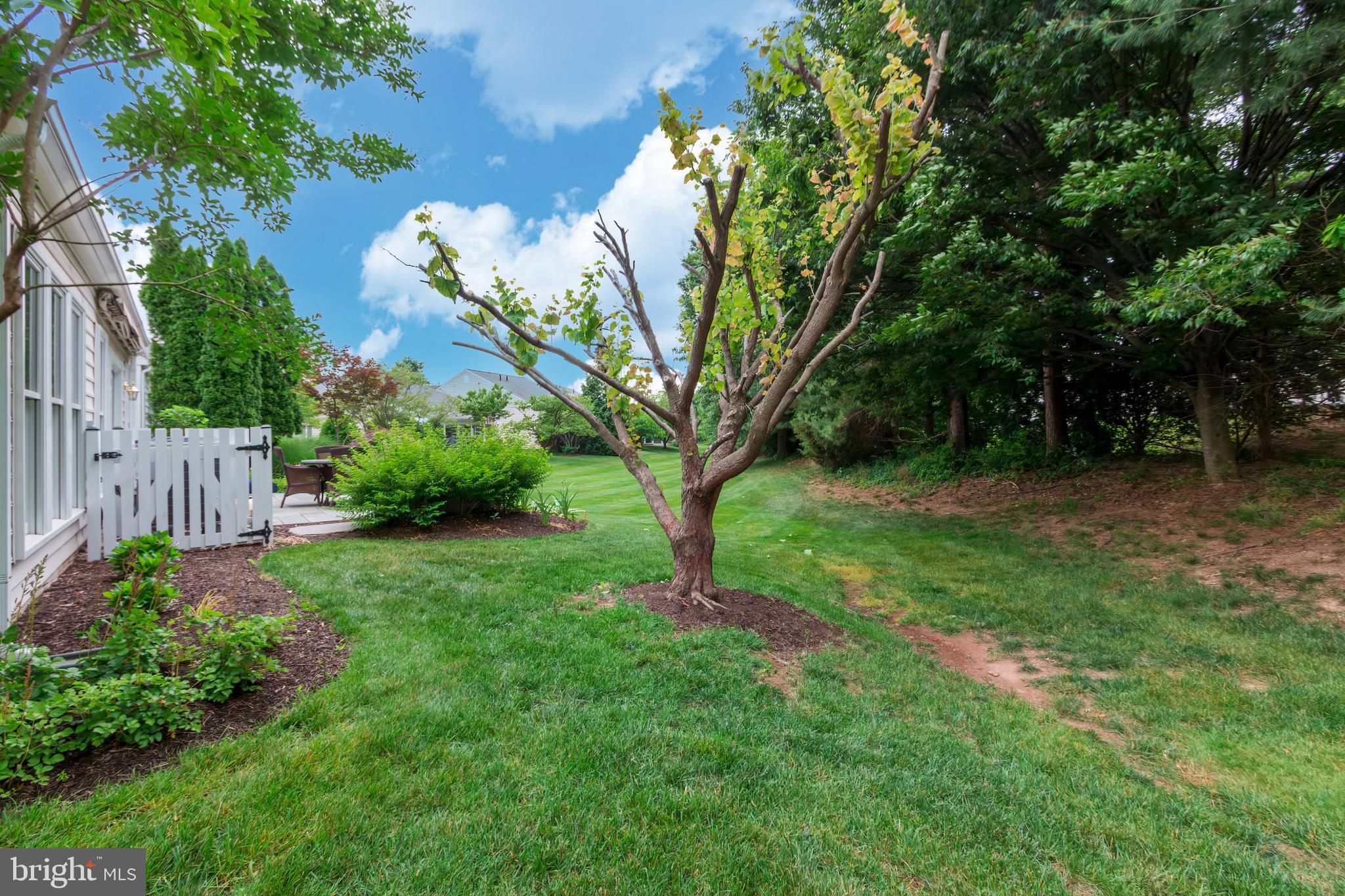 POTOMAC GREEN - Residential