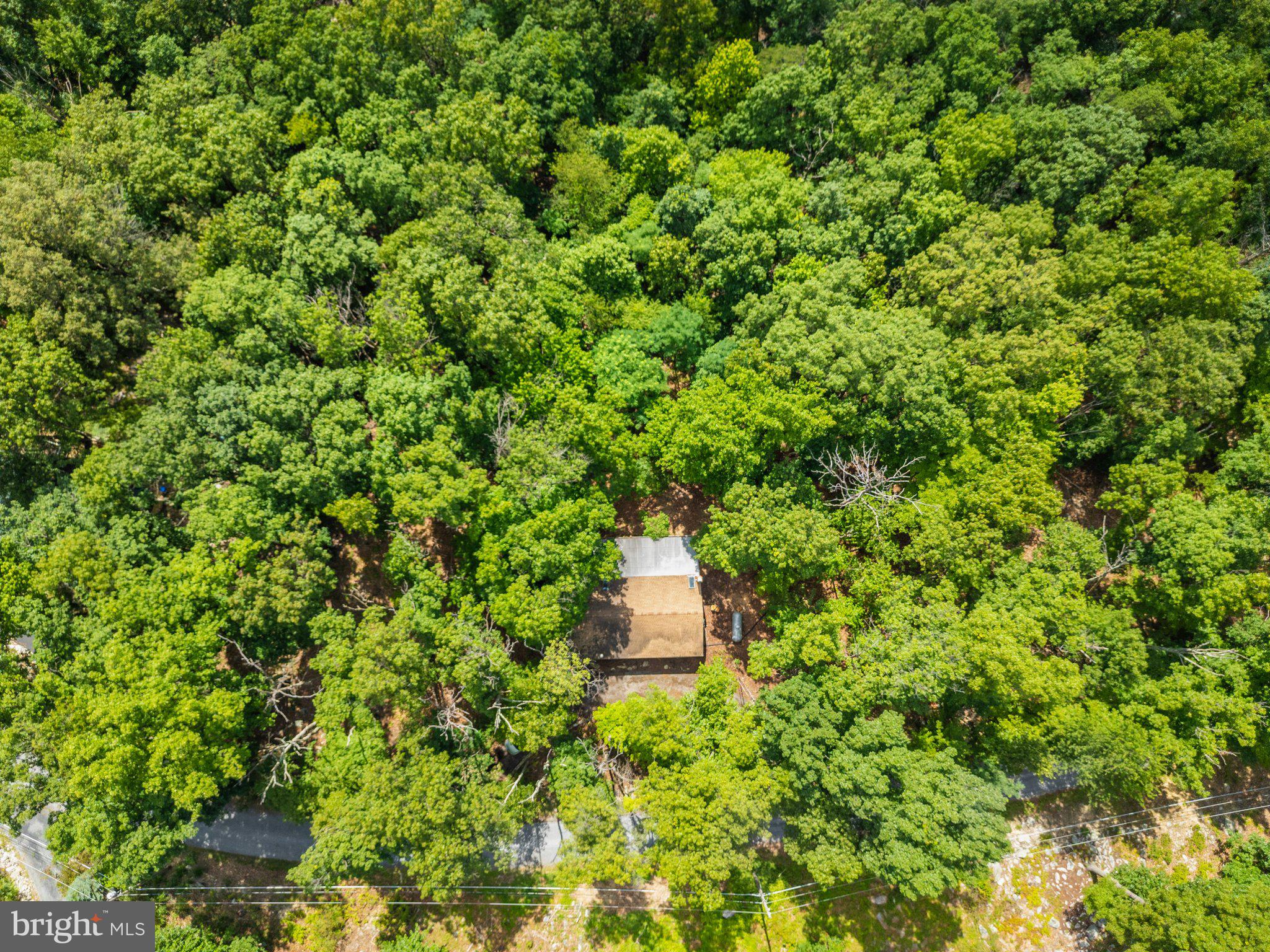 SHANNONDALE - Residential