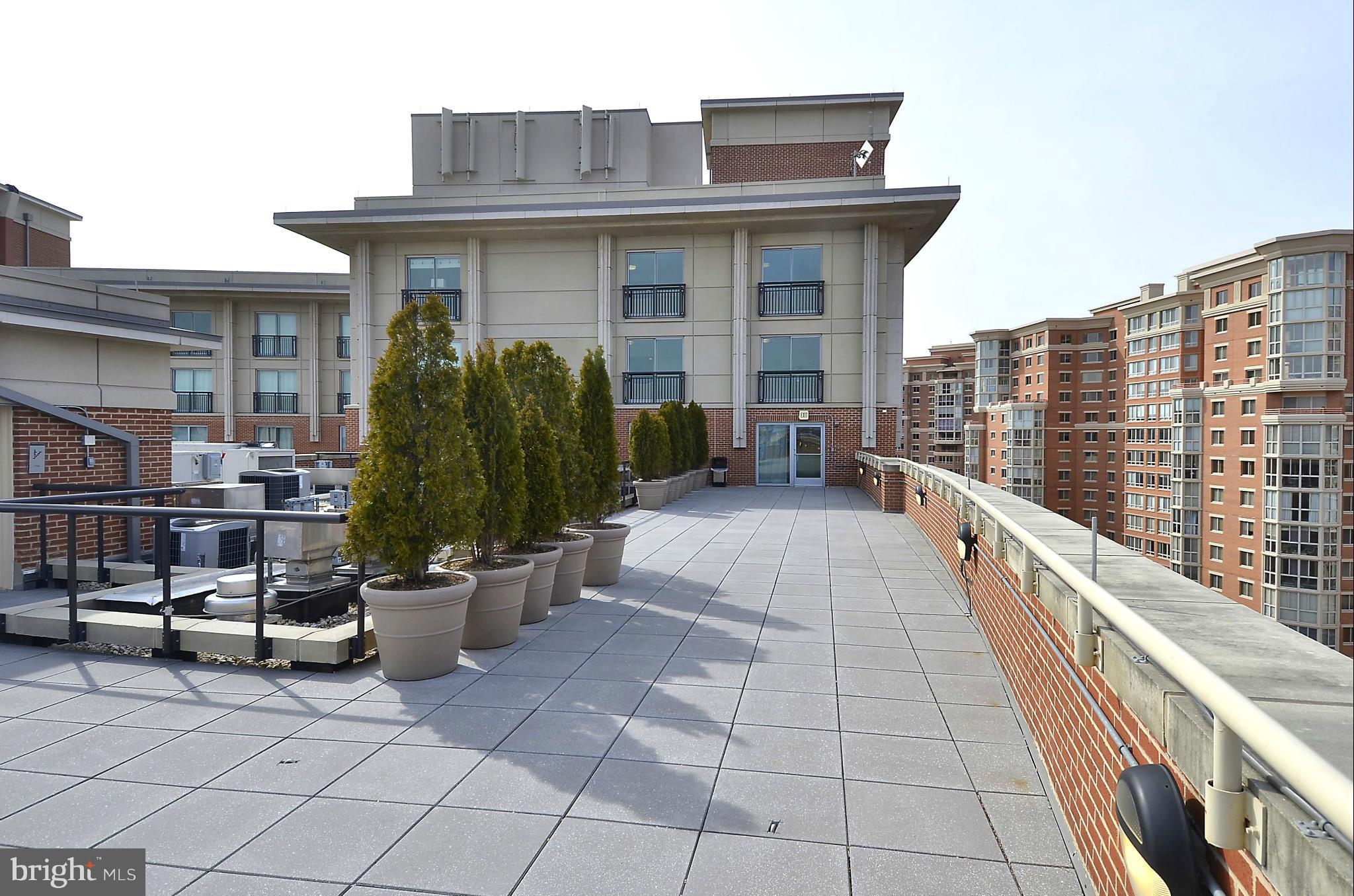 THE JAMIESON - Residential Lease