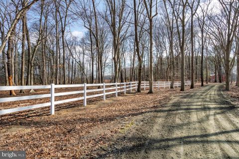 listing image 97