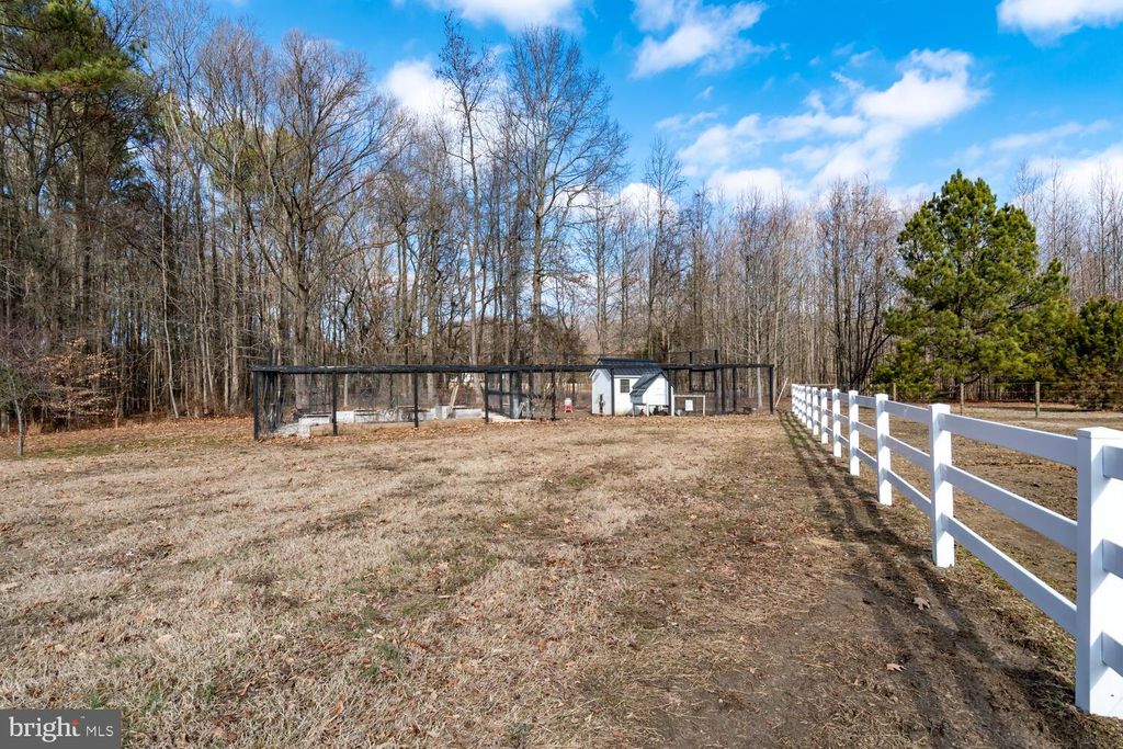 listing image 86