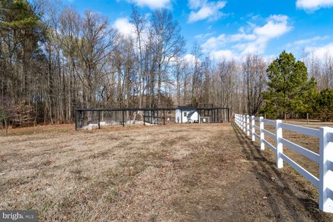listing image 86