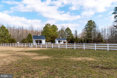 listing image 84