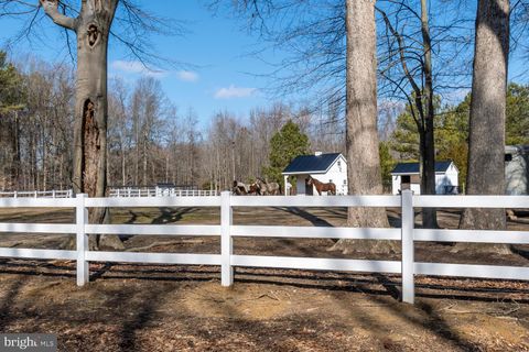listing image 87