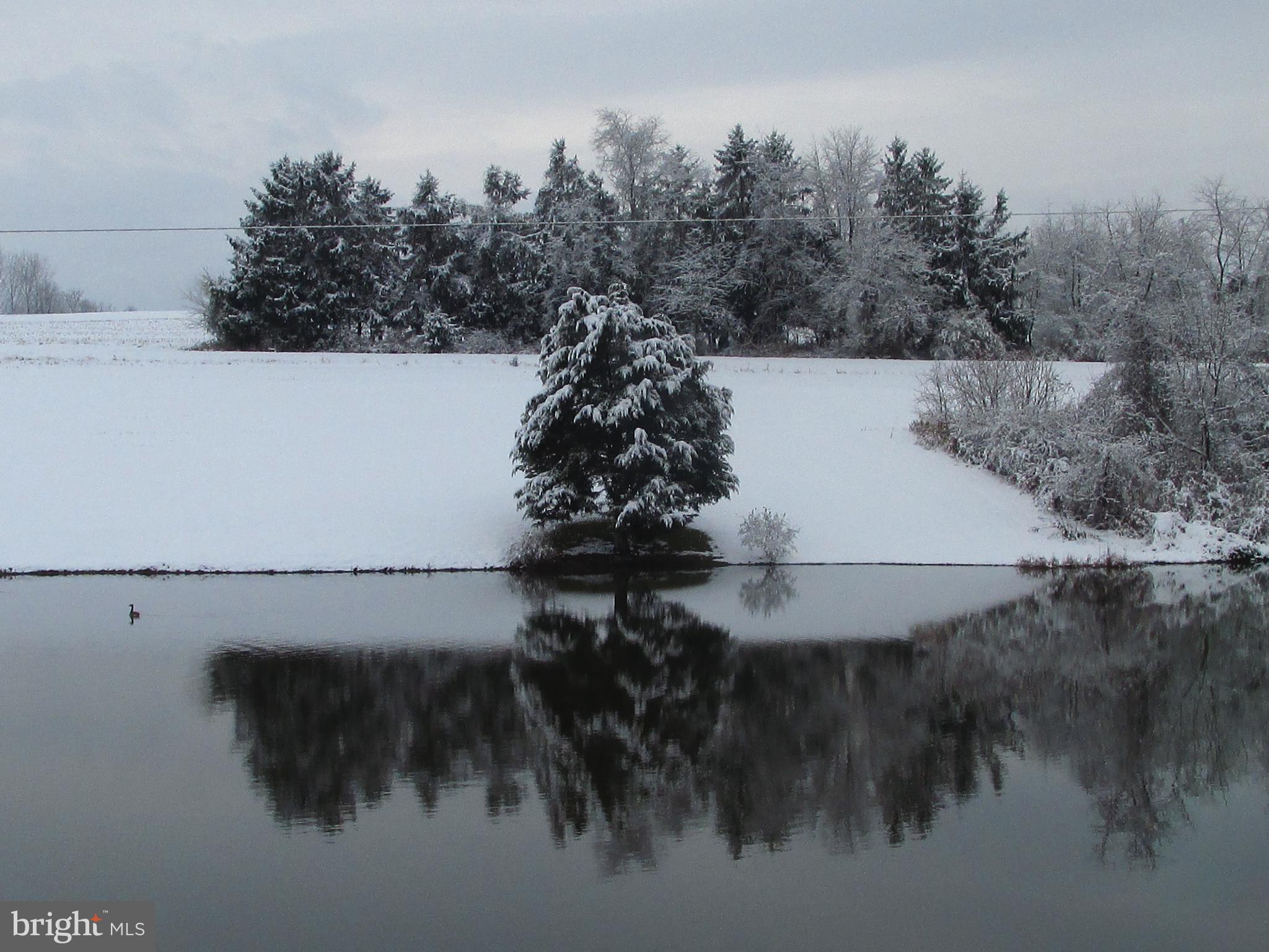 WASHINGTON TWP - Residential